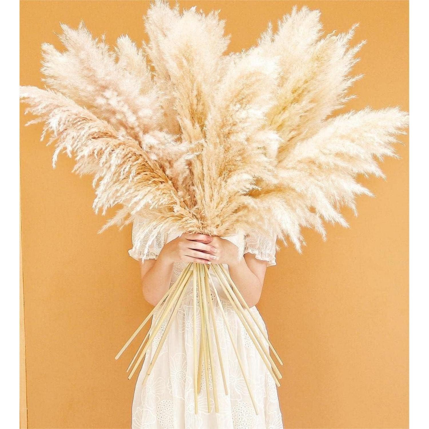 Trockenblume Pampasgras XXL 115cm 10 Stück Deko Boho Wohnzimmer Tisch 120cm-10-A, LuxusKollektion