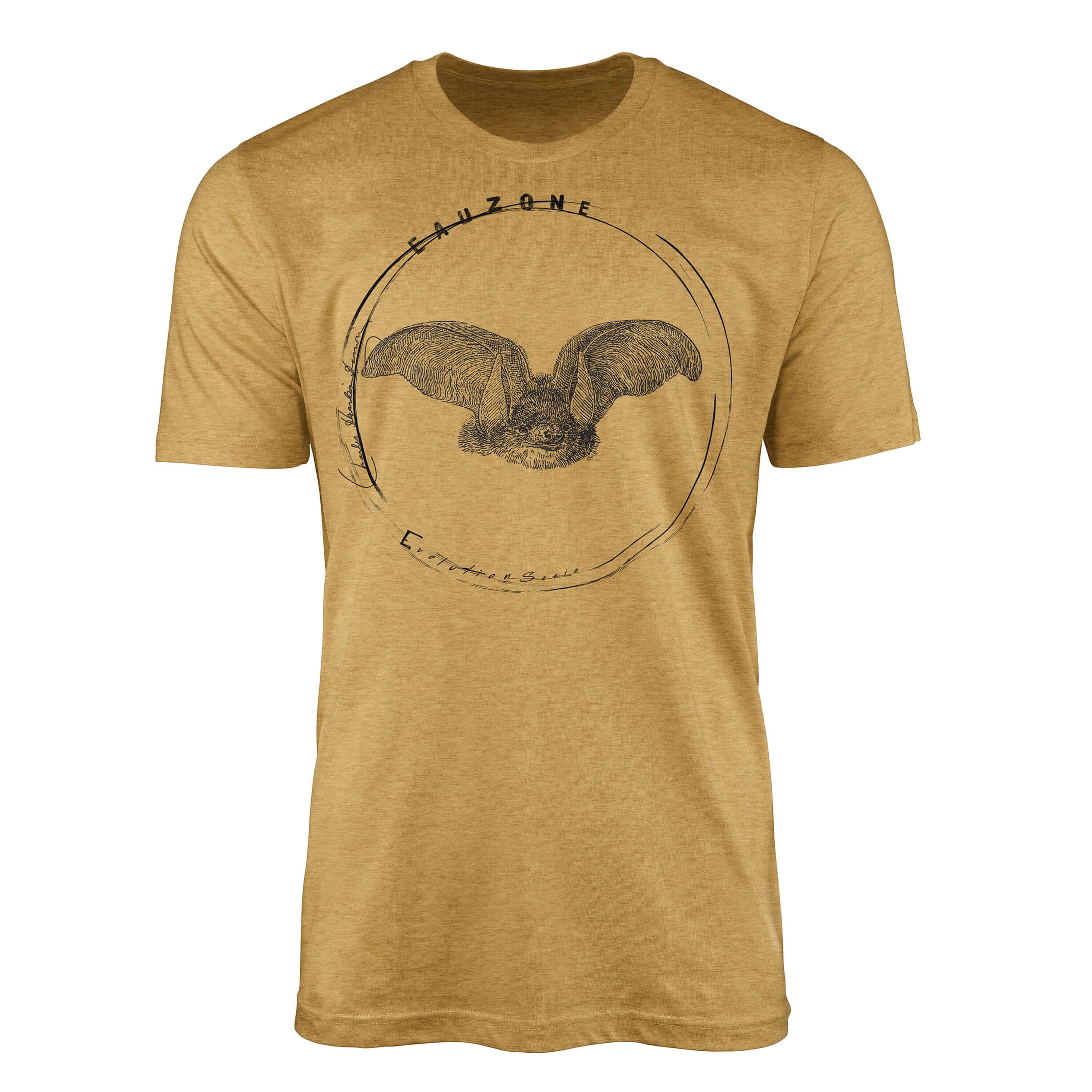 Herren Antique Art Sinus T-Shirt Gold T-Shirt Langohrfledermaus Evolution