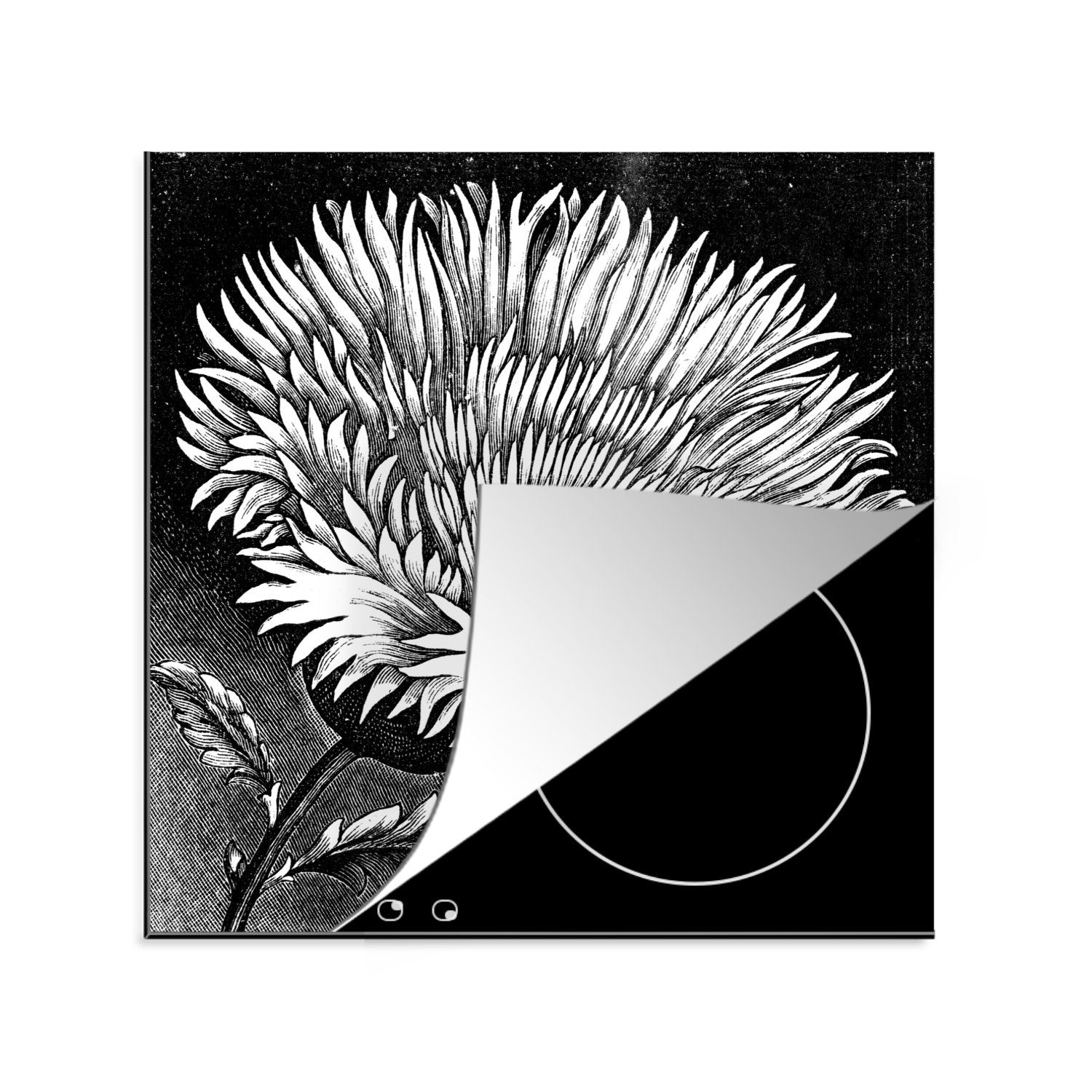 Ceranfeldabdeckung, Illustration tlg), Vinyl, einer Kornblume cm, Schwarz MuchoWow küche und Eine in Herdblende-/Abdeckplatte (1 78x78 Weiß, Arbeitsplatte für