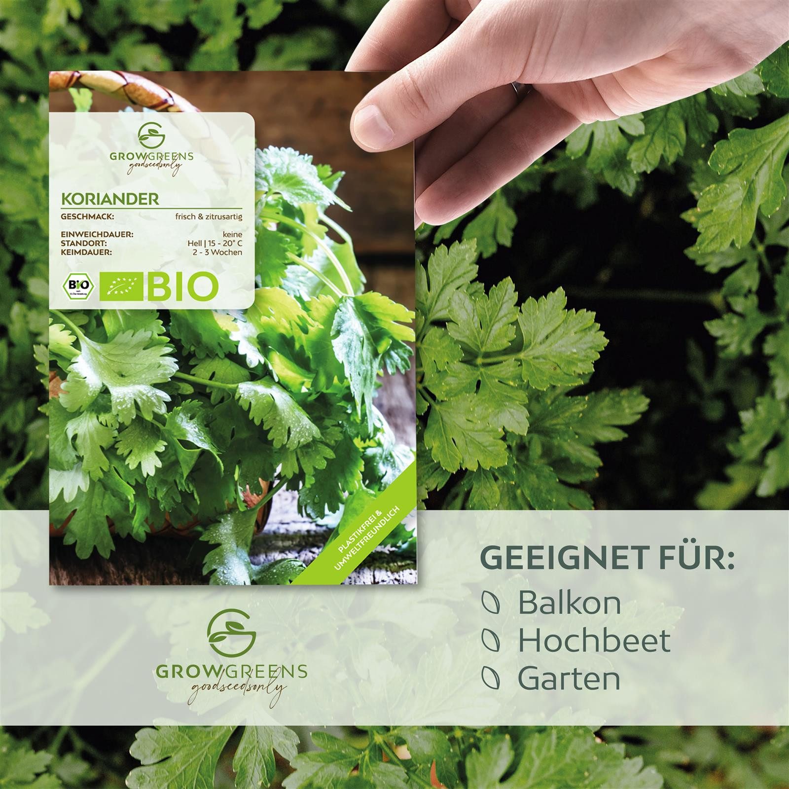 Growgreens Kräutersamen BIO Koriandersamen - Küchenkräuter Saatgut aus bio. günstig online kaufen