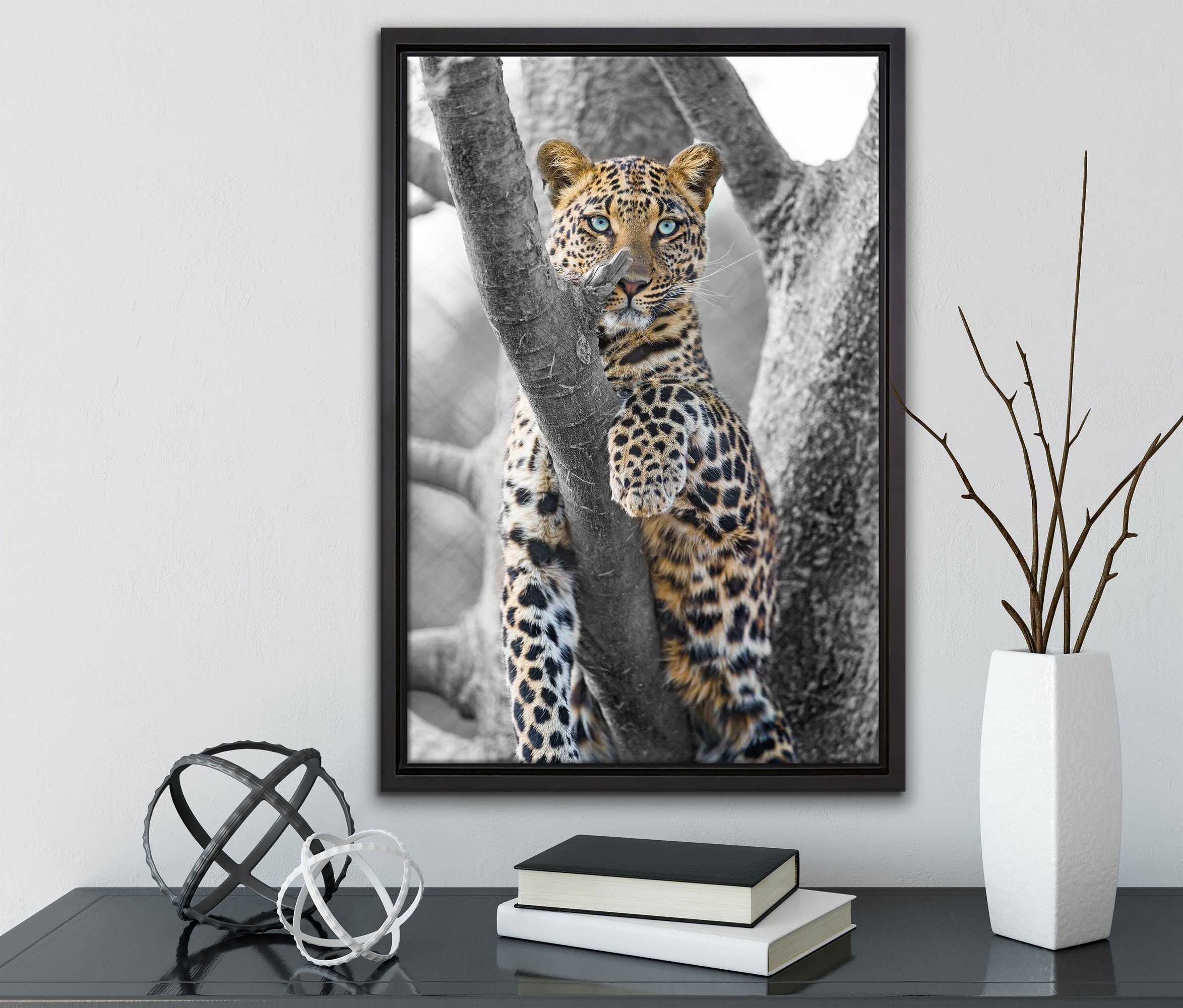 (1 Zackenaufhänger Leinwandbild fertig Pixxprint Wanddekoration gefasst, Schattenfugen-Bilderrahmen inkl. majestätischer Baum, bespannt, Leopard in Leinwandbild einem auf St),