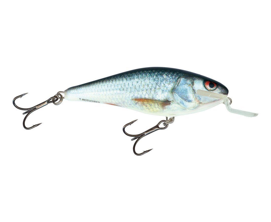 Kunstköder Salmo Executor Wobbler Shallow Runner RD Real Dace