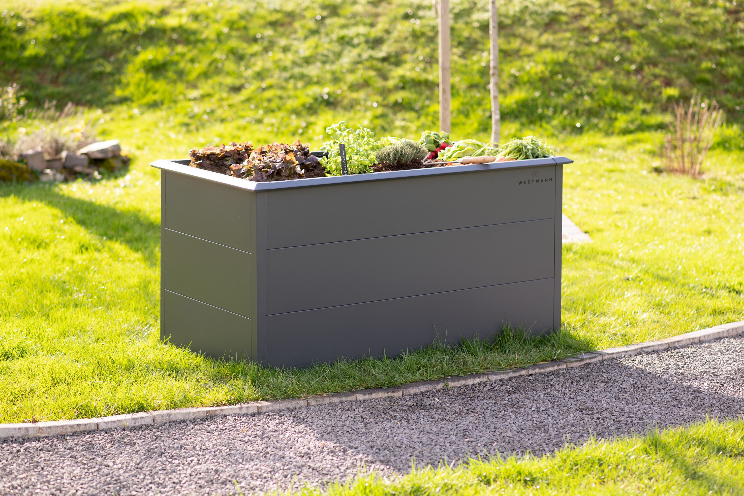 WESTMANN Hochbeet Metall Hochbeet Primus L, Anthrazit, 150x75x77 cm
