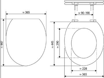 SANITOP WINGENROTH WC-Sitz Schriftzug, Motiv Luau, Thermoplast, Absenkautomatik, Abnehmbar, 406826