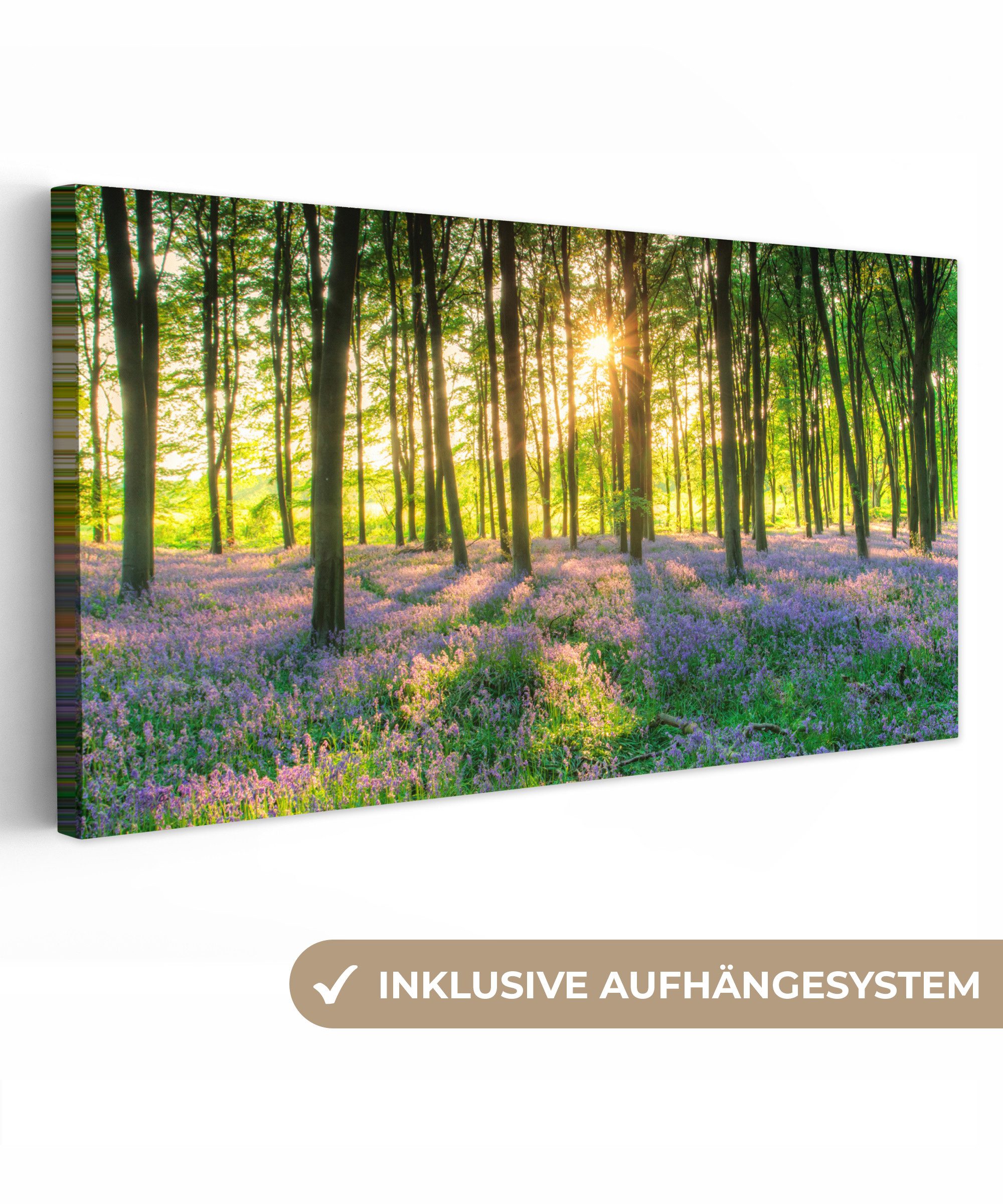 OneMillionCanvasses® Leinwandbild Panorama Frühling - Wald günstig online kaufen
