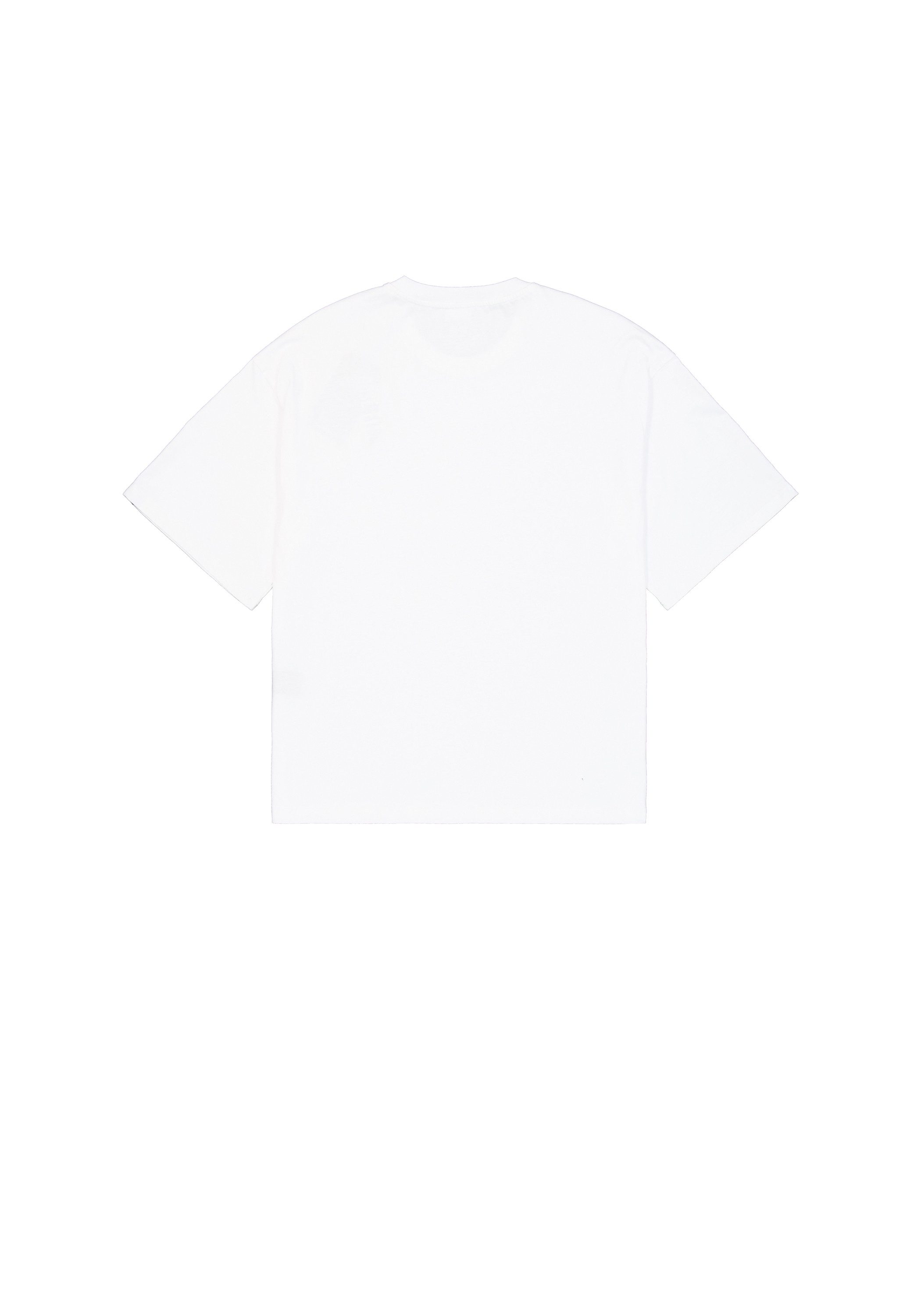 Alpha Industries T-Shirt Studio Edition T-Shirt günstig online kaufen