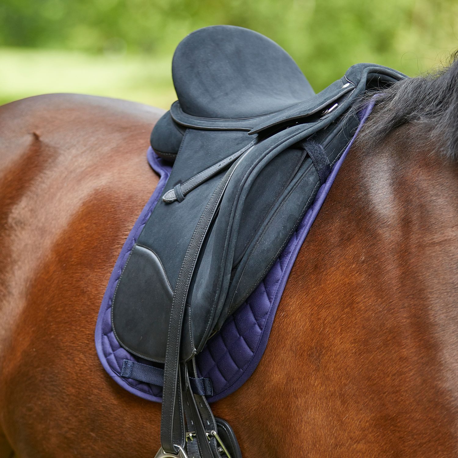 Waldhausen Schabracke Waldhausen Satteldecke Star