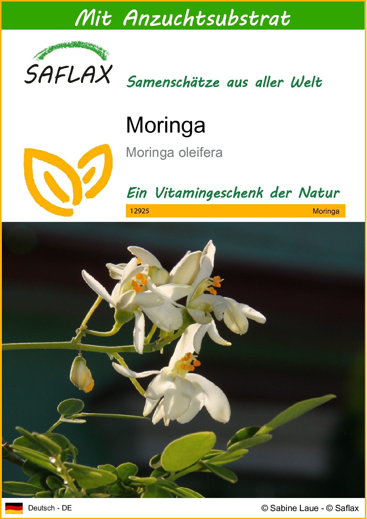 SAFLAX Blumensamen SAFLAX - Samen und Substrat - Moringa