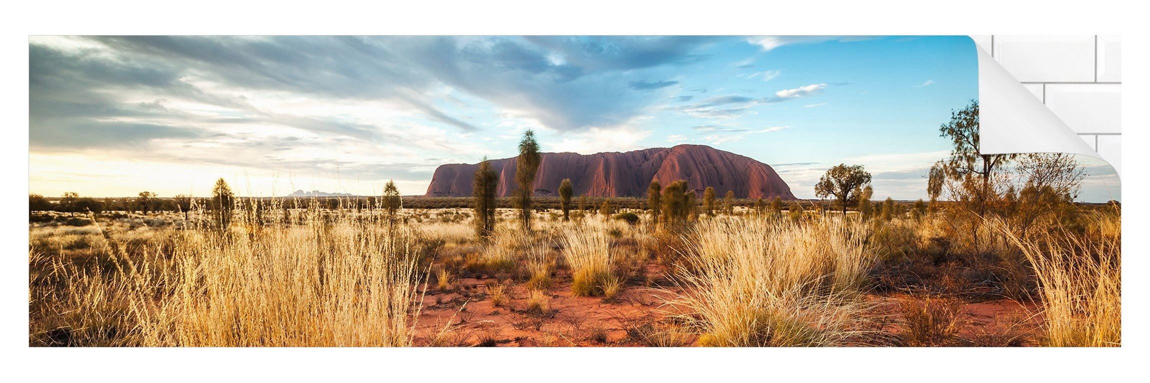 Bilderdepot24 Küchenrückwand orange dekor Natur Wandpaneel Steppe Wandverkleidung Küche, (1-tlg., Nischenrückwand - für Fliesenspiegel ohne Bohren - matt), Spritzschutz Rückwand Küche Herd - Folie selbstklebend versch. Größen