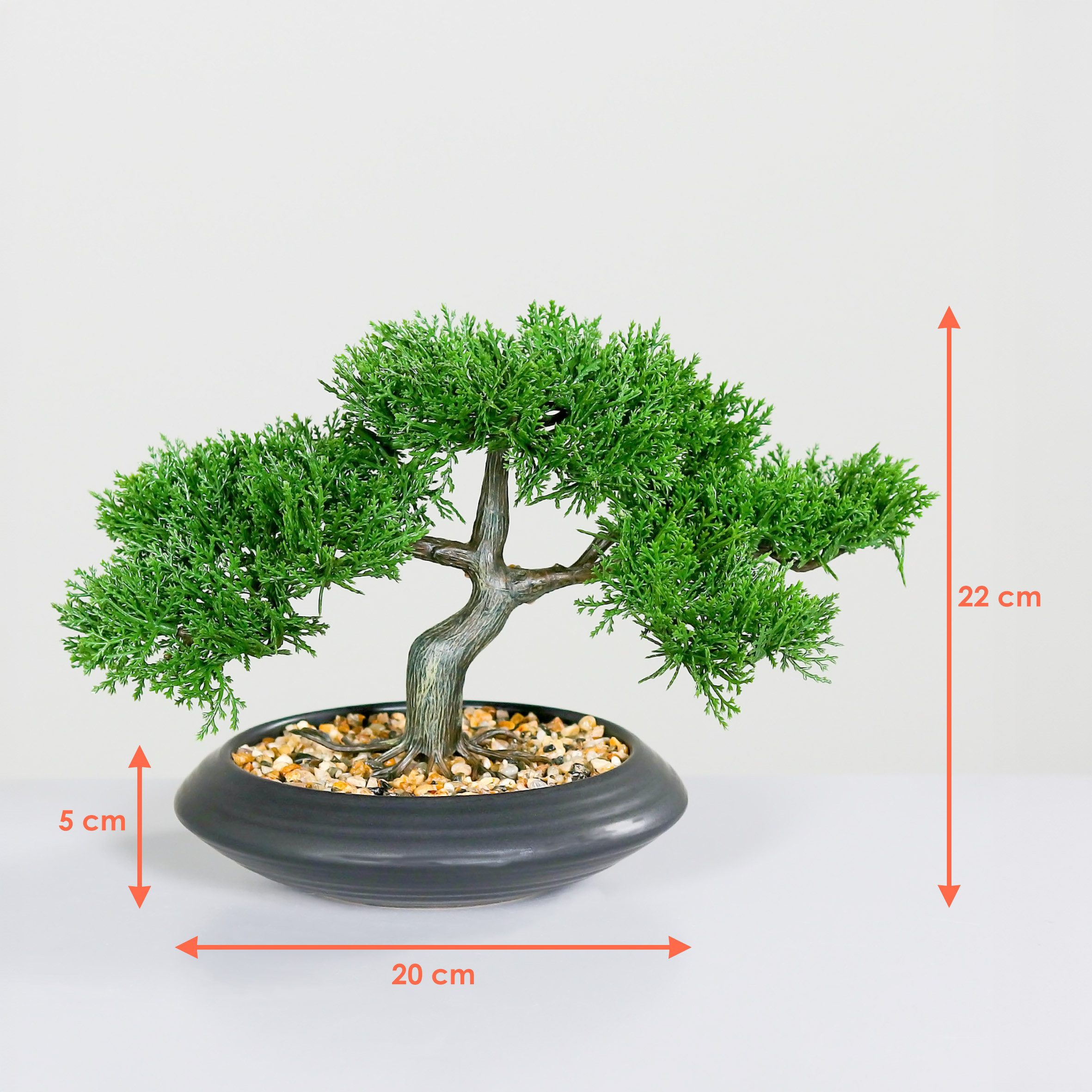 Kunstbonsai Kunst Zedem Bonsai in Keramik günstig online kaufen