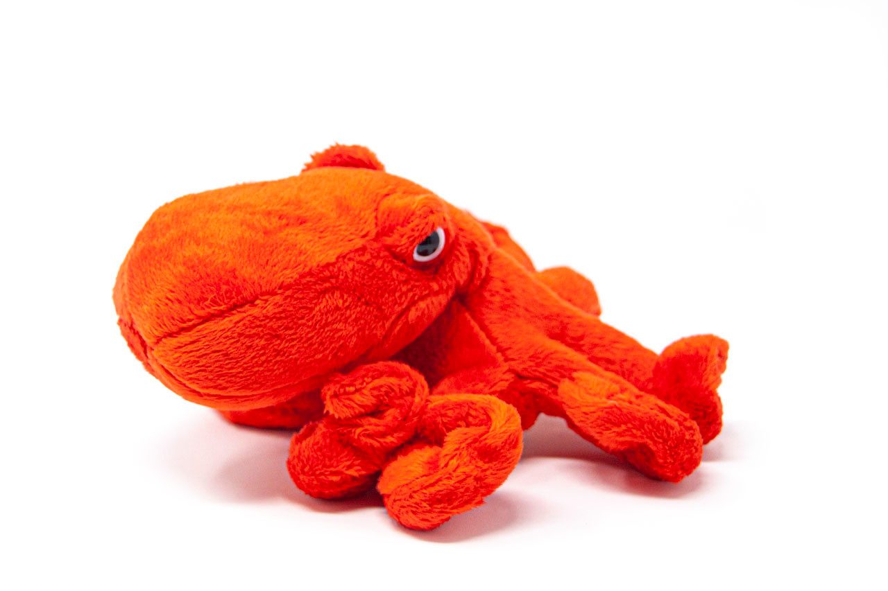 Cornelißen Kuscheltier Cornelissen - Kuscheltier - Oktopus - 20 cm