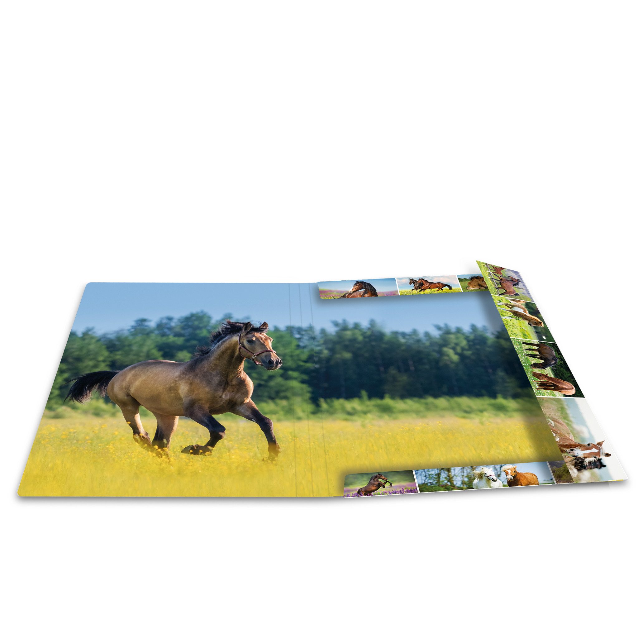 HERMA Organisationsmappe Herma Sammelmappe Eckspanner Karton A3 Pferdewiese