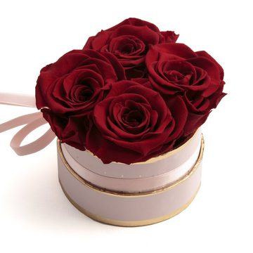 Kunstblume Infinity Rosenbox rosa rund 4 konservierte Rosen Geschenk für Frauen Rose, ROSEMARIE SCHULZ Heidelberg, Höhe 10 cm, echte konservierte Rosen