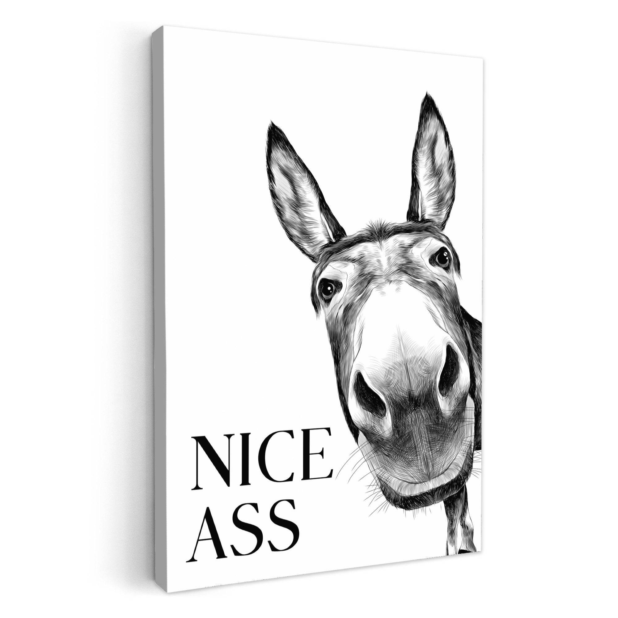 OneMillionCanvasses® Leinwandbild Zitat - Esel - Dieren - Nice ass - Sprüch günstig online kaufen