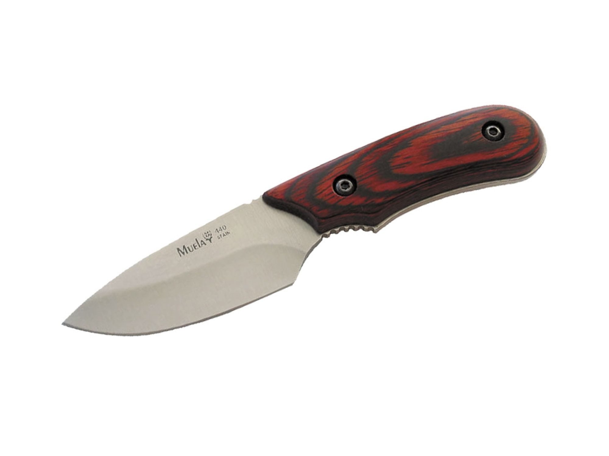 Muela Taschenmesser Muela Ibex Pakkaholz 8R