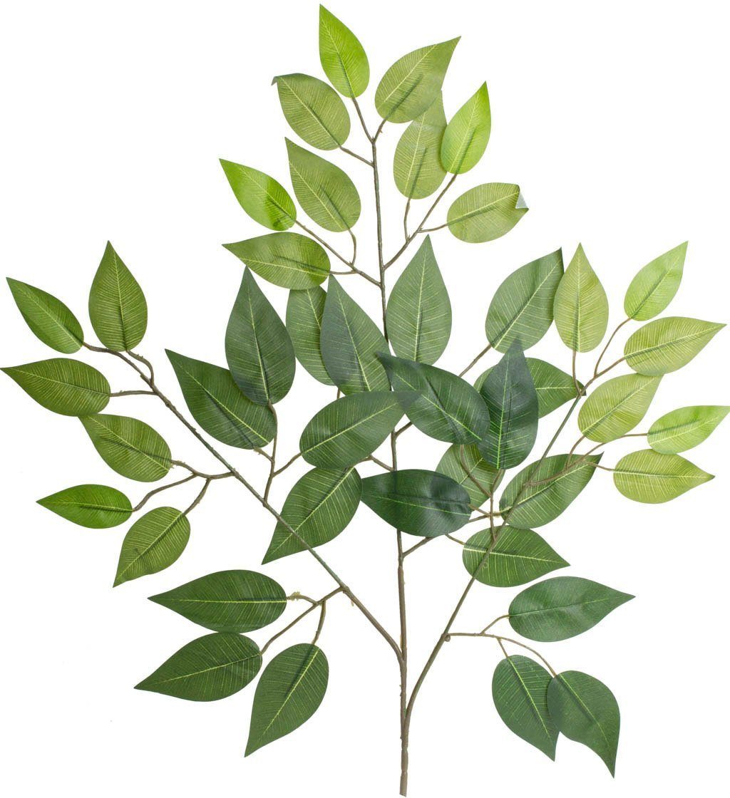 Kunstzweig Ficuszweig Ficus, Botanic-Haus, Höhe 57 günstig online kaufen