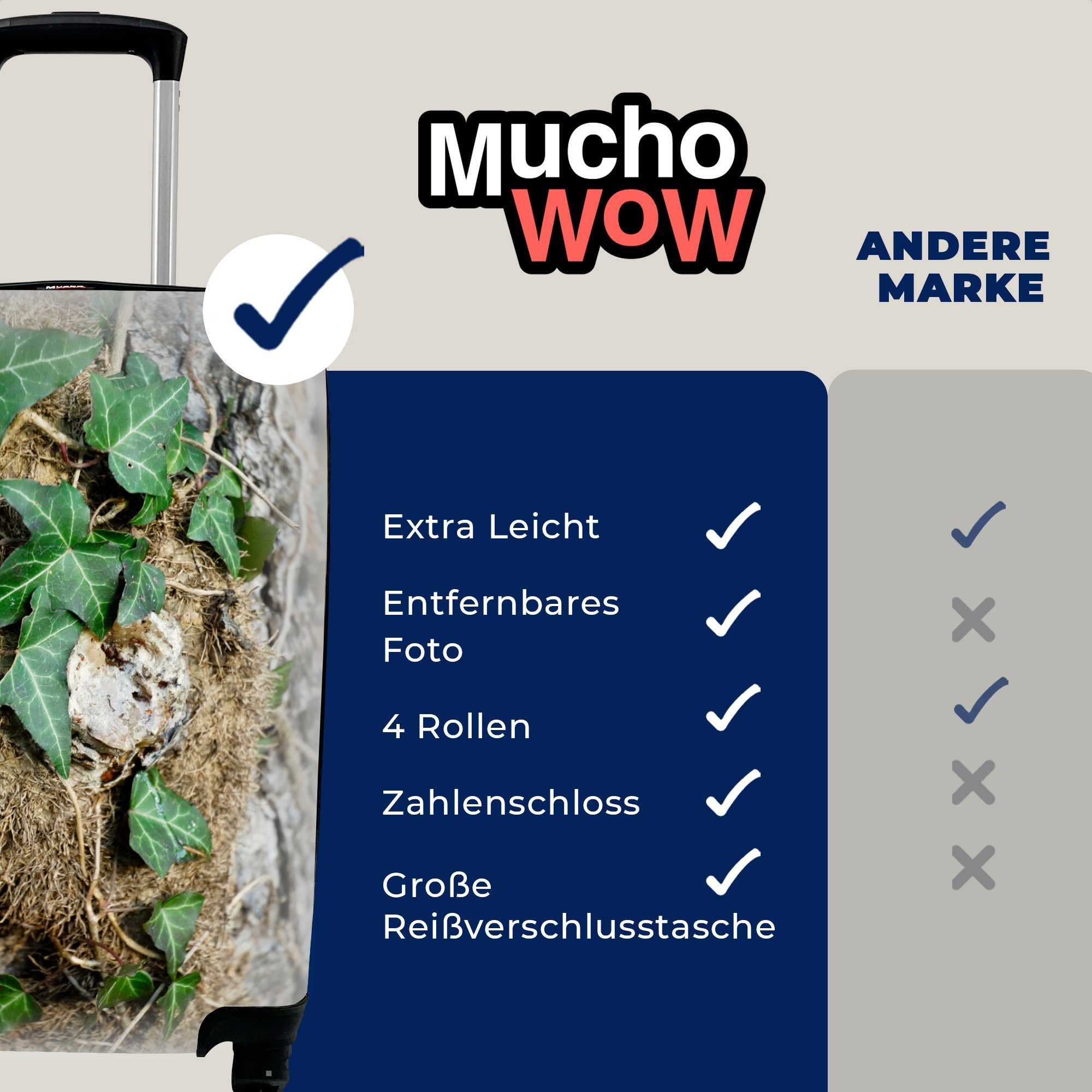 rollen, Reisekoffer 4 mit Die MuchoWow für an grünen Handgepäckkoffer Ferien, einem Trolley, Baum, Hedera-Blätter Reisetasche Handgepäck Rollen,