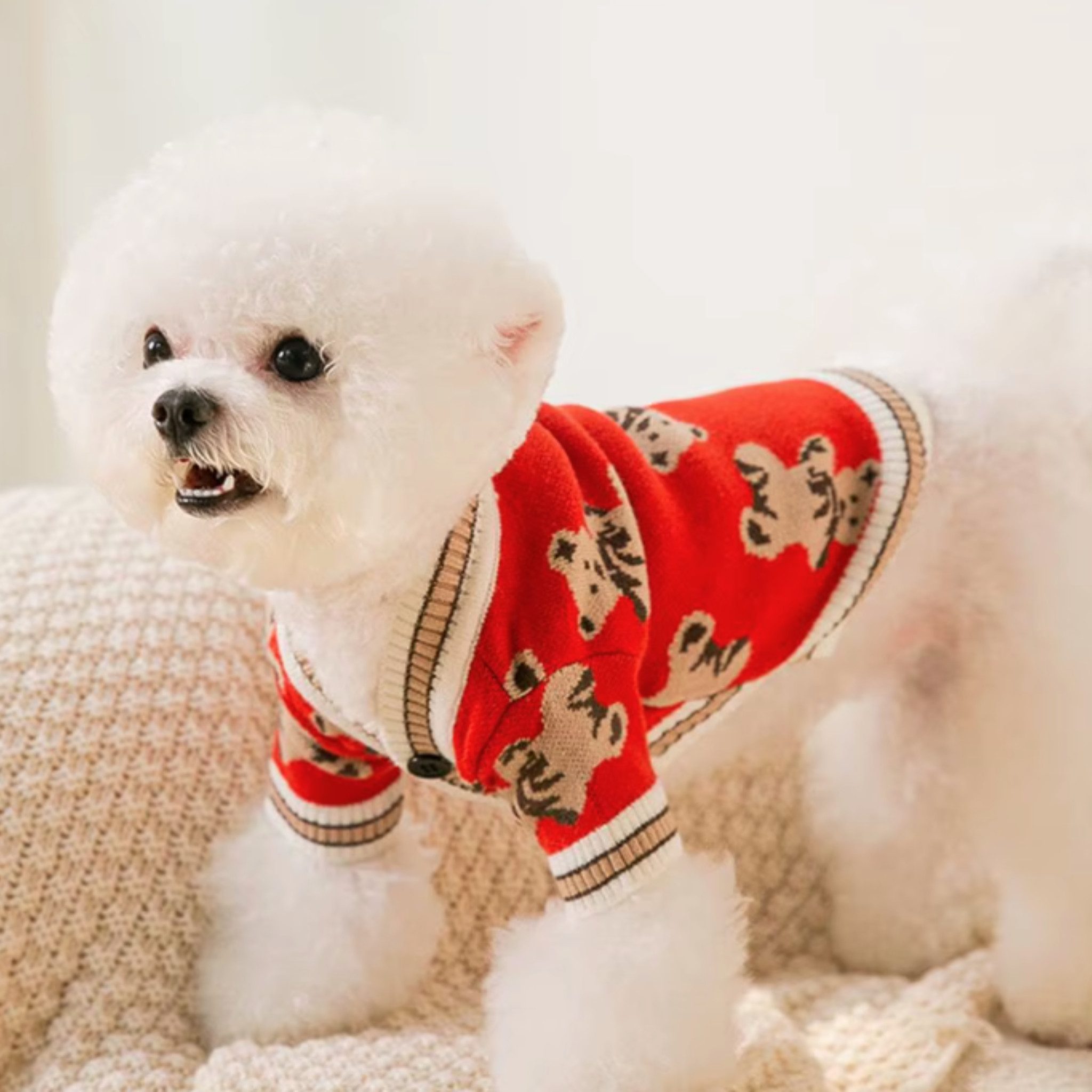 FLOCKI Pets™ Hundepullover Hunde Strickpullover, für Hunde in verschiedenen Größen, niedliches Teddy-Bär Design