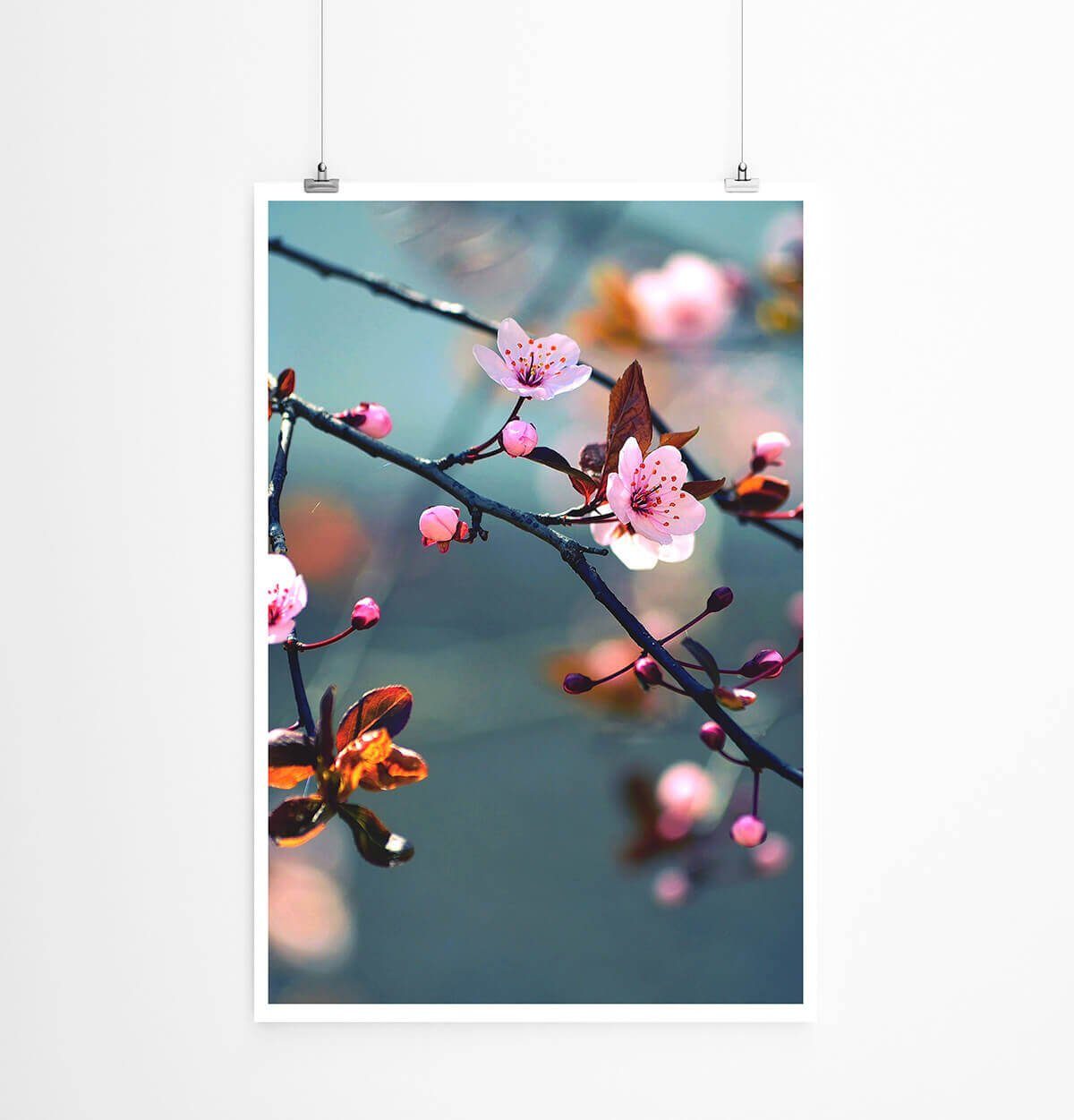 Sinus Art Poster Naturfotografie 60x90cm Poster Blühende japanische Kirschblüten