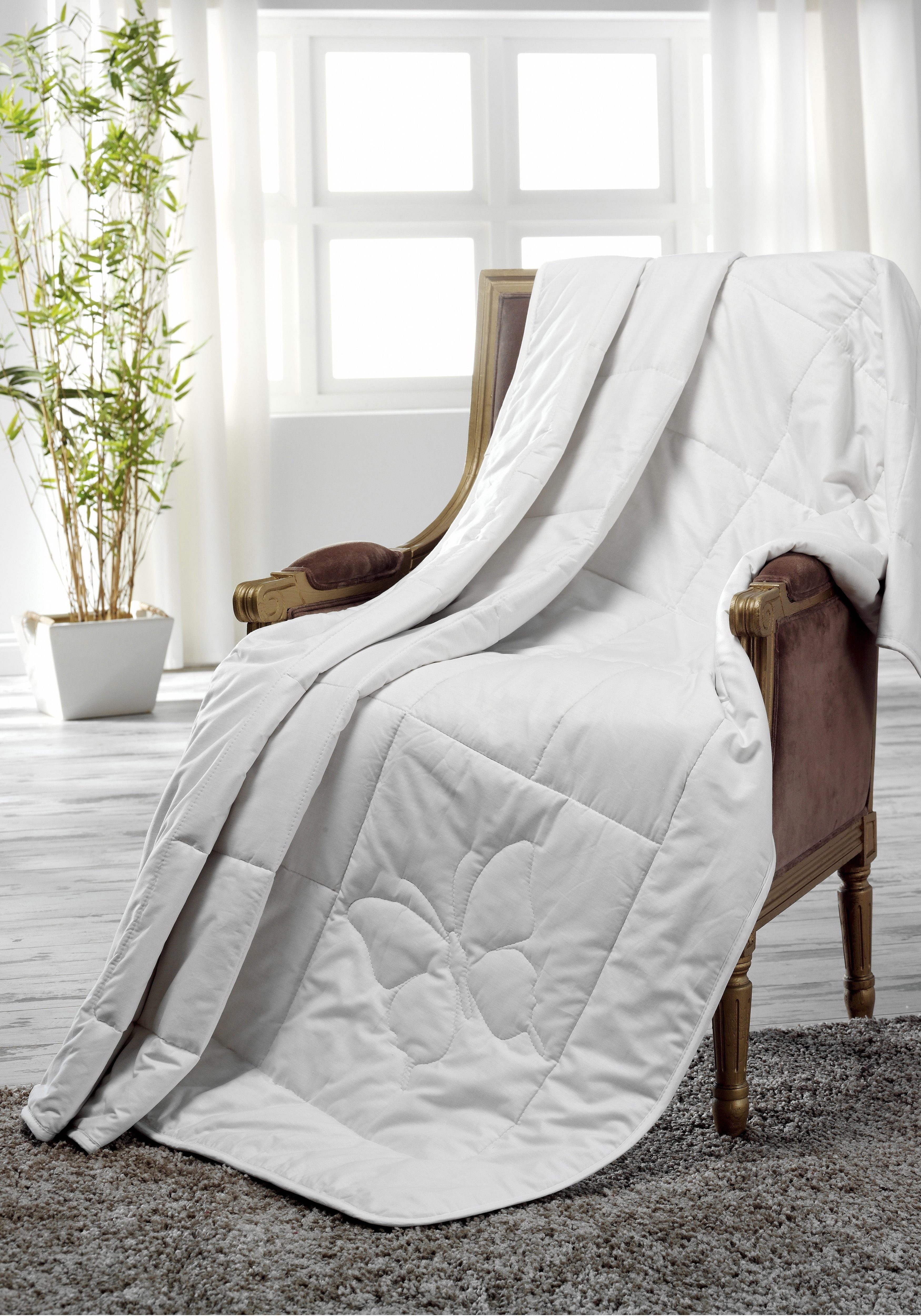 Dreams Naturfaserbettdecke Classic, Füllung: 100% Seide, günstig online kaufen