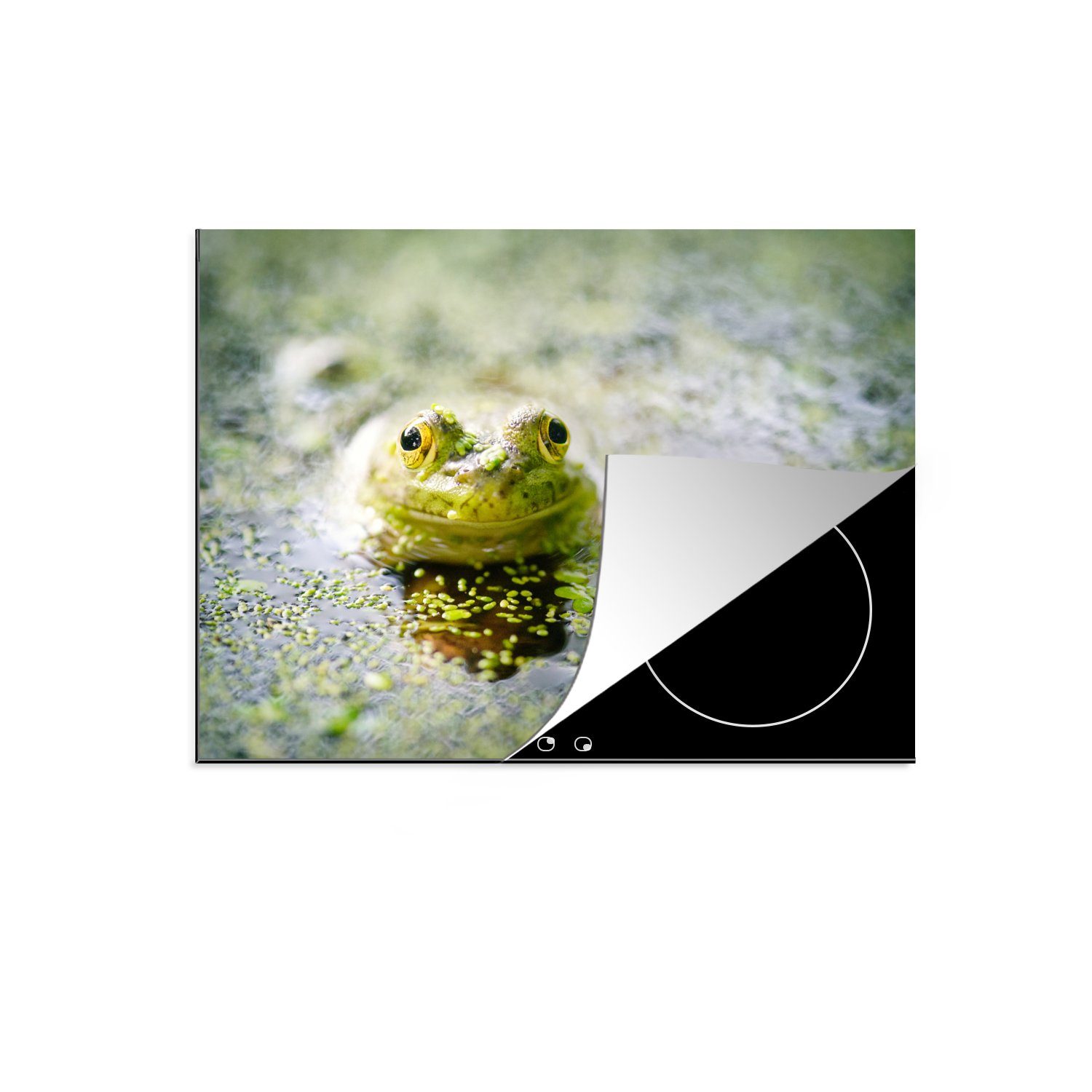 Frosch im Ceranfeldabdeckung Fröhlicher Arbeitsfläche Herdblende-/Abdeckplatte MuchoWow nutzbar, 60x52 Vinyl, Mobile (1 cm, tlg), Wasser,