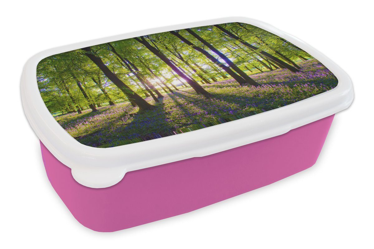 MuchoWow Lunchbox Sonnenstrahlen erhellen diesen Wald aus lila Sternhyazinthen, Kunststoff, (2-tlg), Brotbox für Erwachsene, Brotdose Kinder, Snackbox, Mädchen, Kunststoff rosa
