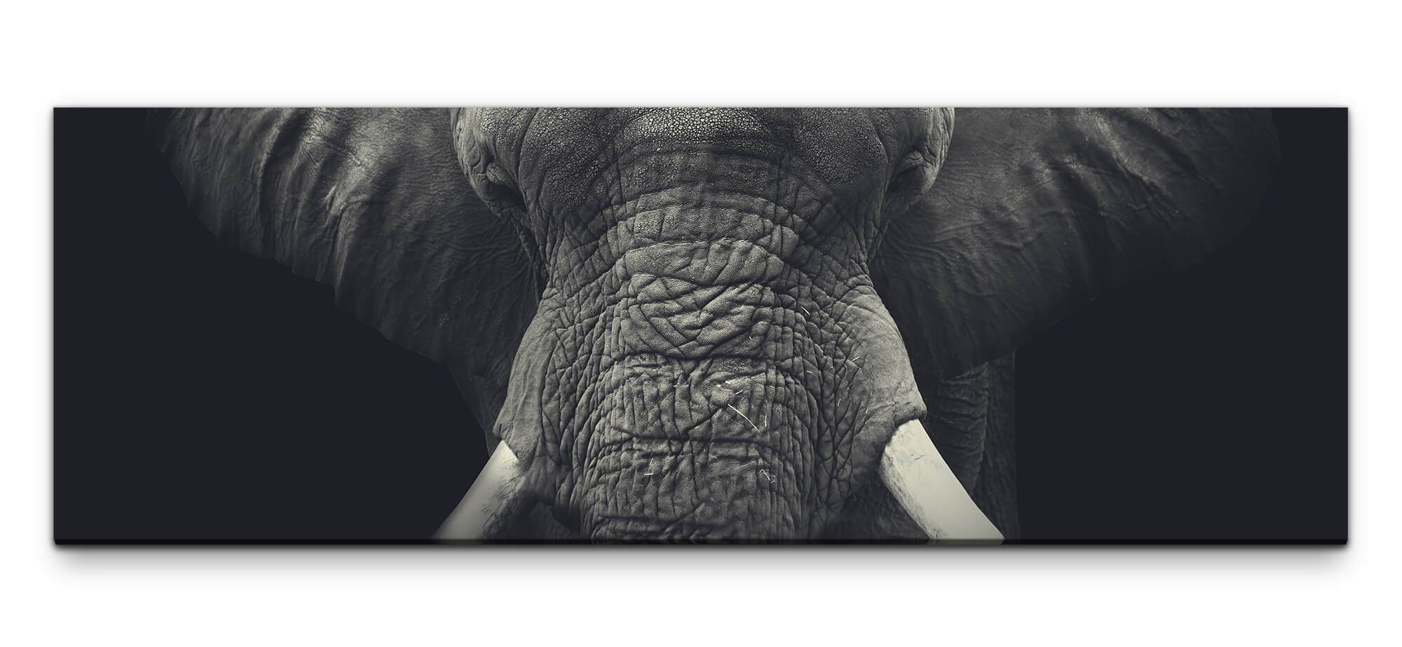 möbel-direkt.de Leinwandbild Bilder XXL Elefant schwarz weiss Wandbild auf Leinwand. € 42,00