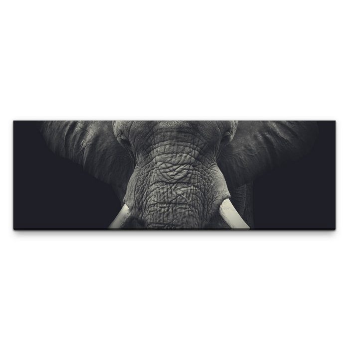 möbel-direkt.de Leinwandbild Bilder XXL Elefant schwarz weiss Wandbild auf Leinwand