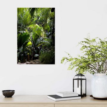 Posterlounge Wandfolie Thomas Herzog, Dschungelpfad, Badezimmer Natürlichkeit Fotografie