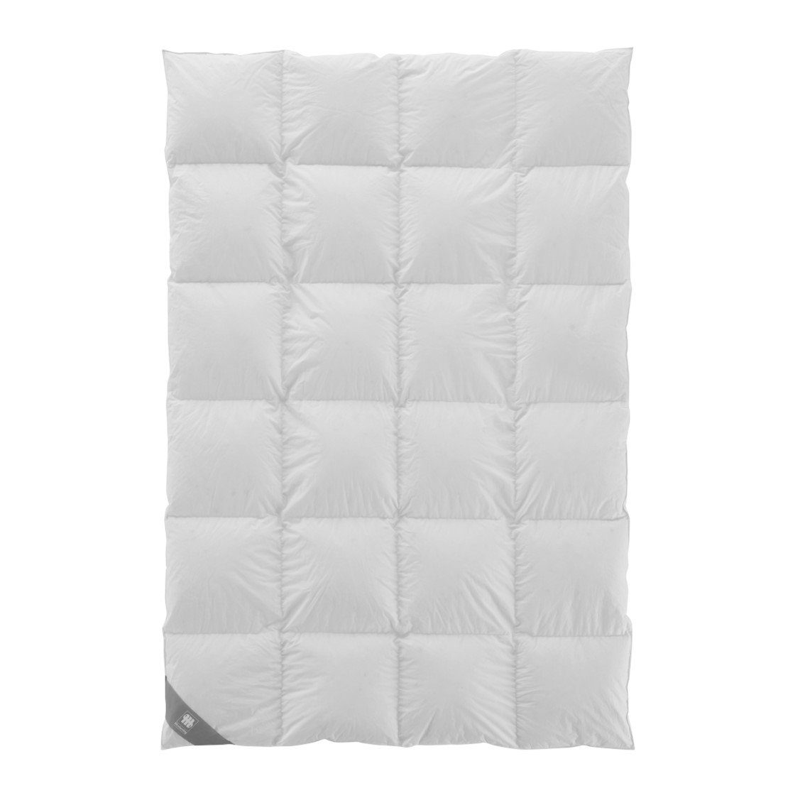 Musterring Daunenbettdecke DREAMZ, Füllung: 100% Daunen, Winterdecke mit Baumwollbezug, extrawarm