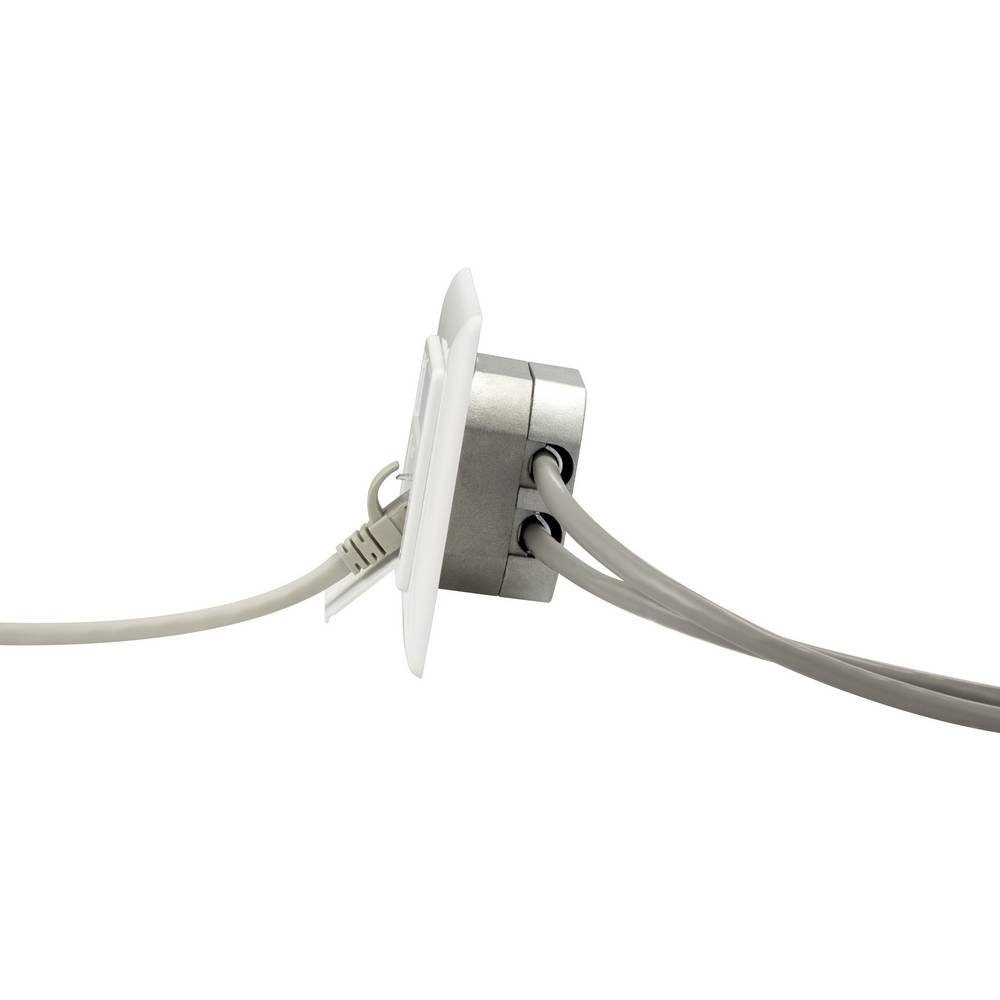 Renkforce 2 Port CAT 6a RAL9003 Unterputz-Netzwerkdose RF-4391320 Netzwerk-Adapter, Kompakt