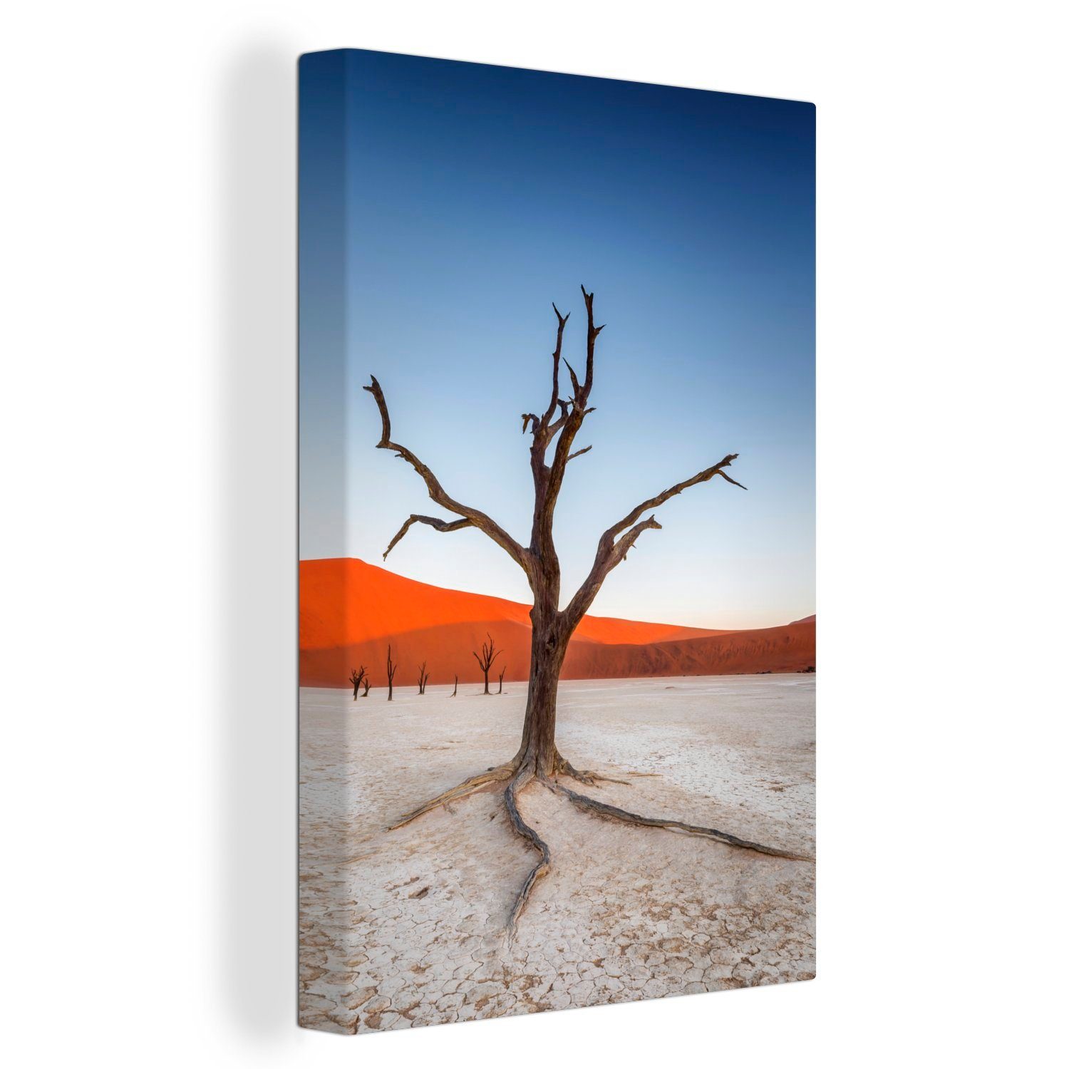 OneMillionCanvasses® St), Sonnenuntergangs inkl. cm bespannt während Gemälde, Leinwandbild fertig eines 20x30 Leinwandbild (1 im, Zackenaufhänger, Kameldornbaum