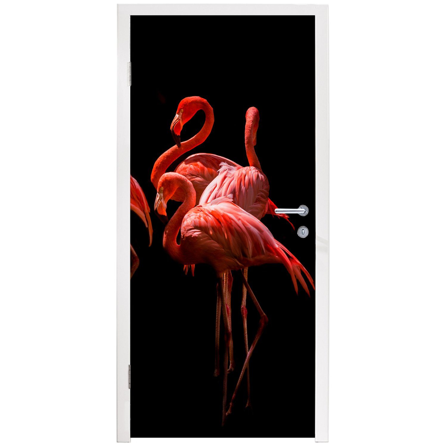 75x205 für bedruckt, Tür, Schwarz, (1 Vögel - MuchoWow Federn St), Matt, Fototapete Flamingos - - Türtapete Türaufkleber, cm