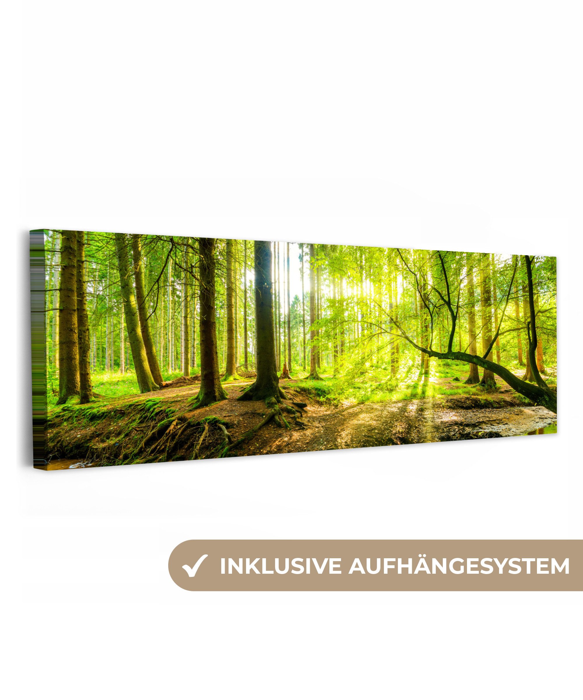 OneMillionCanvasses® Leinwandbild Panorama Wald - Landschaft - Wasser - Bäume - Sonne - Grün - Natur, Fotodruck (1 St), Wandbild, Deko Schlafzimmer Wohnzimmer Flur 60x20 cm