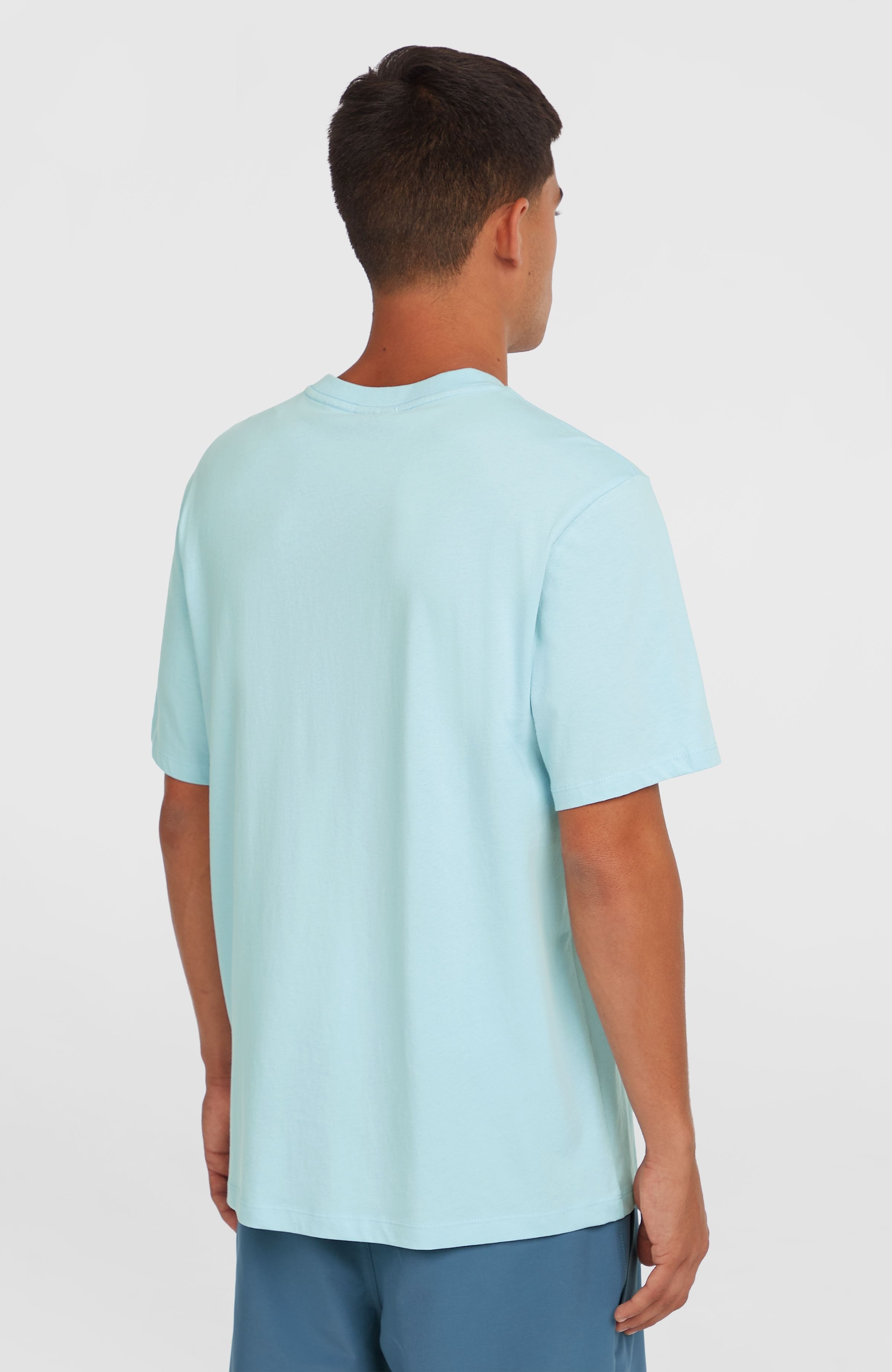 O'Neill T-Shirt O'NEILL CHEST PRINT T-SHIRT günstig online kaufen