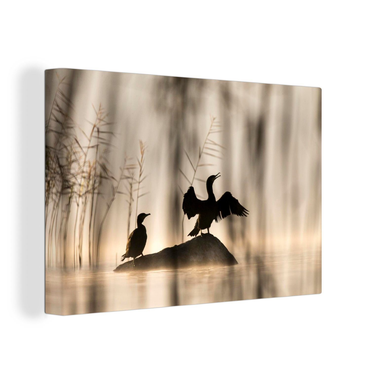 OneMillionCanvasses® Leinwandbild Vögel - Nebel - Tiere - Natur, (1 St), Wandbild Leinwandbilder, Aufhängefertig, Wanddeko, 30x20 cm