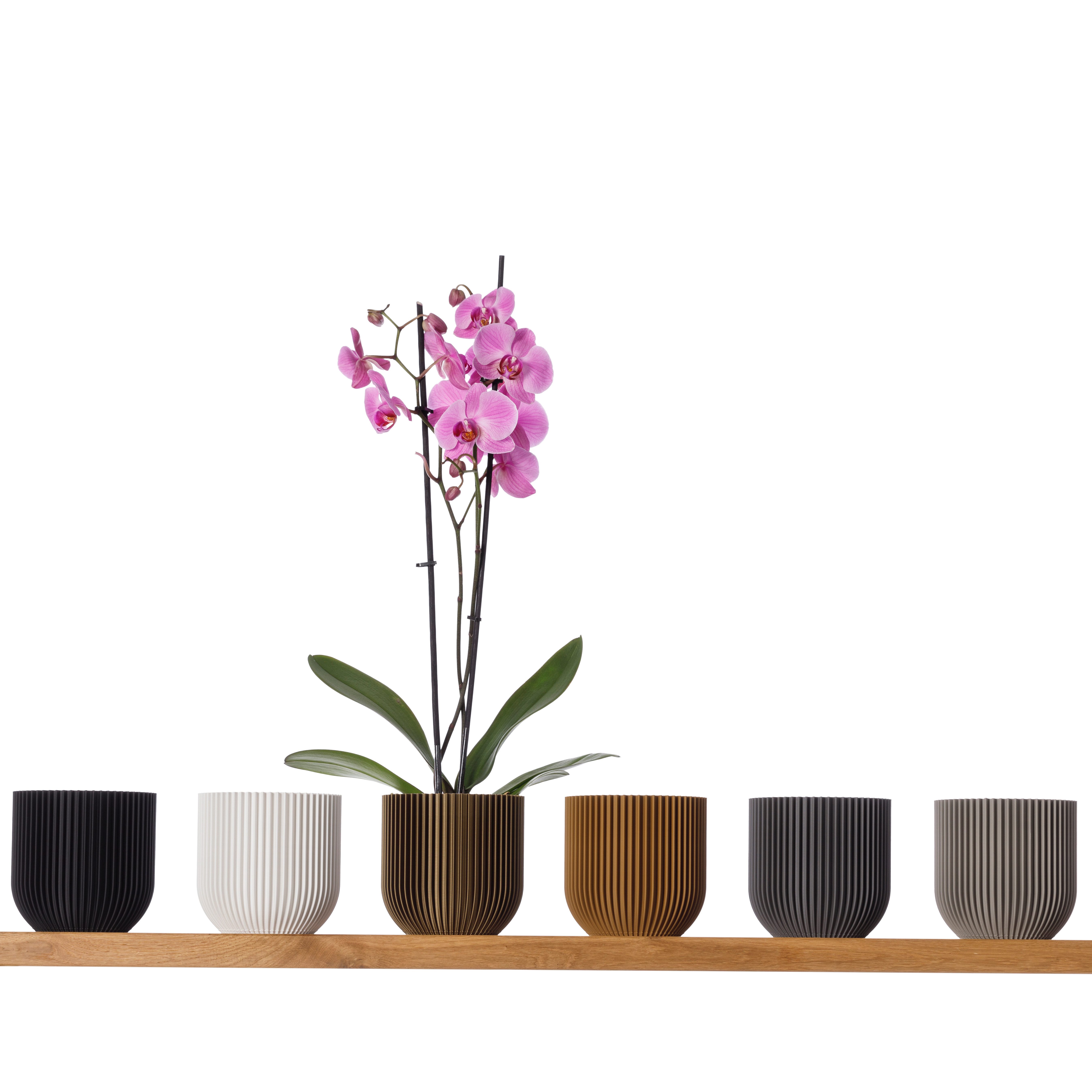 3D Vase Übertopf 3D Vase Cloe Orchideentopf Kräutertopf Übertopf Blumentopf nachhaltig, Übertopf aus dem 3D Drucker