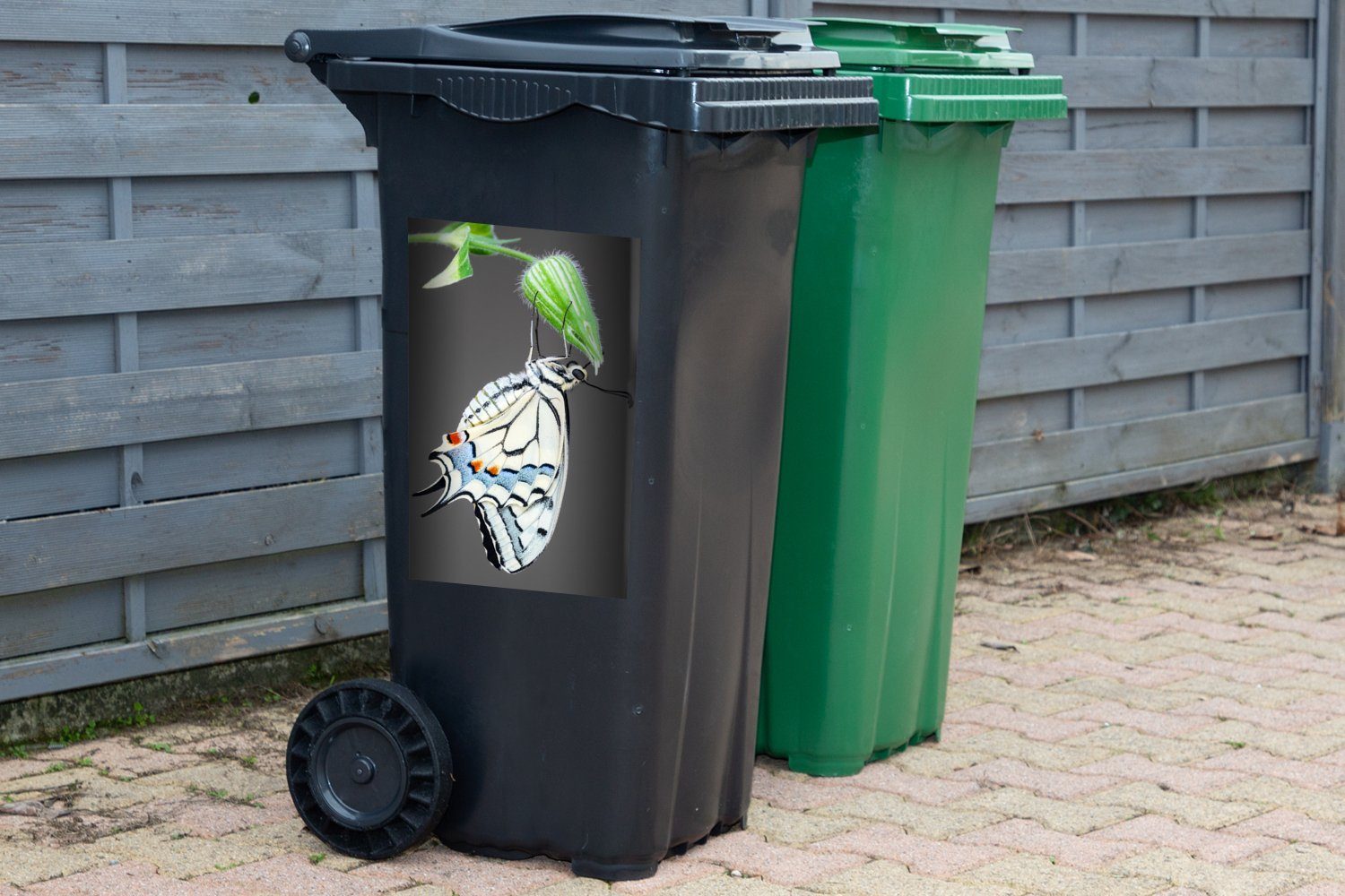 MuchoWow Blütenknospe Sticker, St), Abfalbehälter Container, Schwalbenschwanzschmetterling einer Wandsticker Mülltonne, Mülleimer-aufkleber, (1 auf