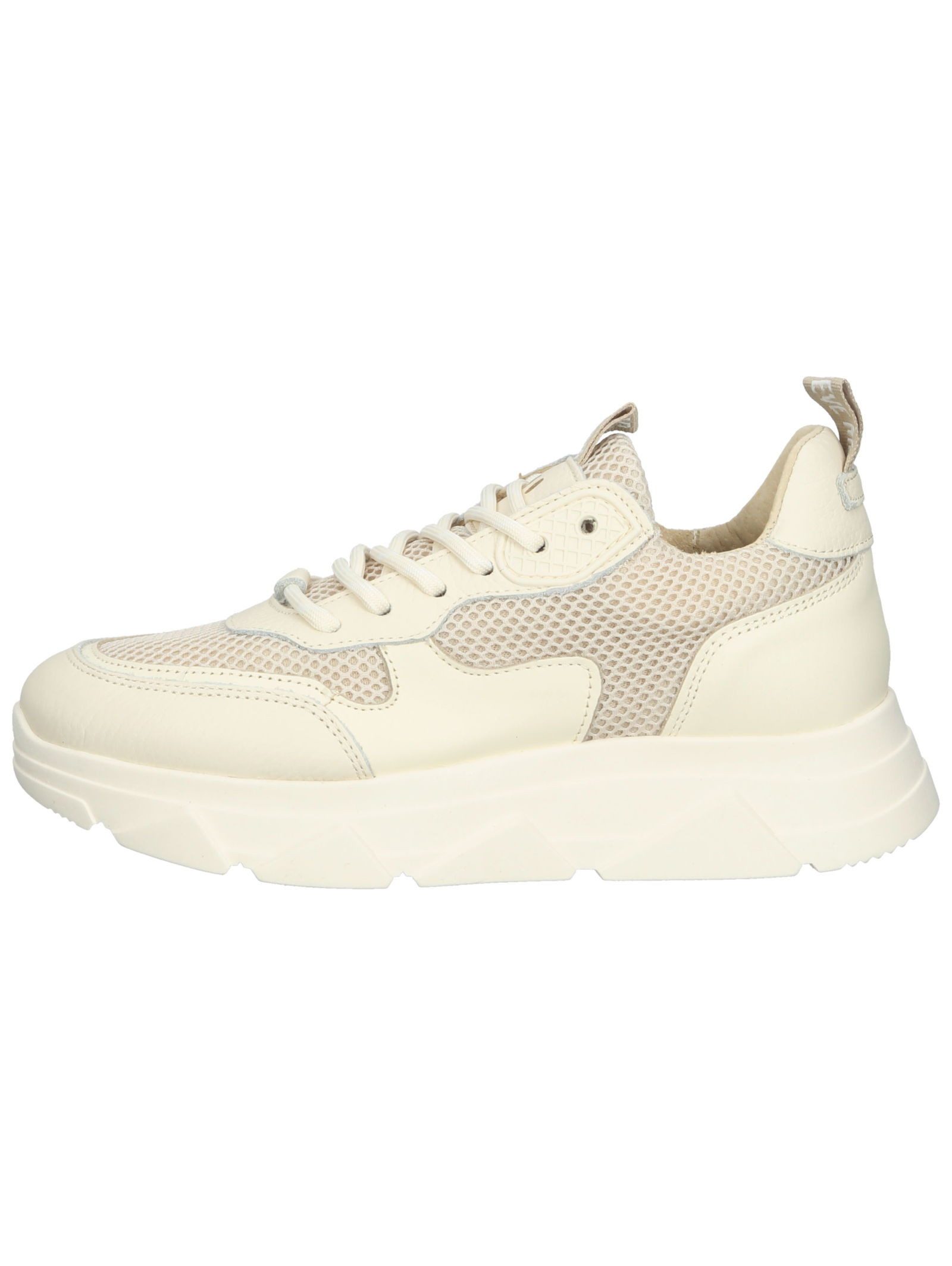 STEVE MADDEN STEVE MADDEN Sneaker Leder/Textil Sneaker