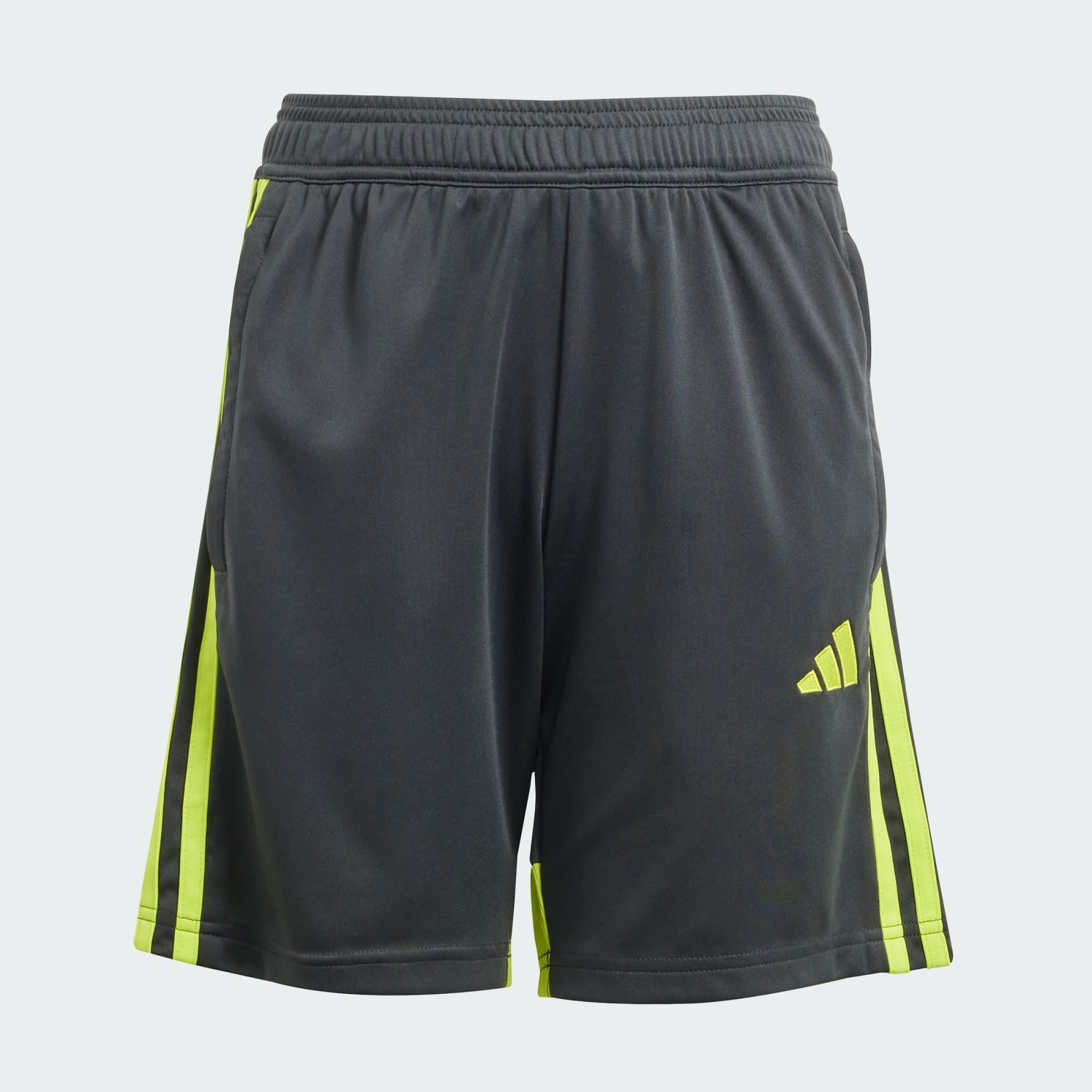 adidas Performance Shorts DFB ANNIVERSARY SHORTS (1-tlg)