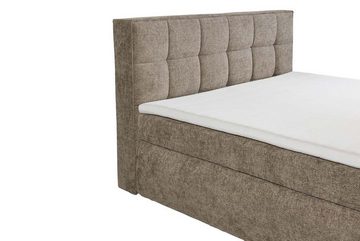 ED EXCITING DESIGN Boxspringliege (160 x 220 cm, Michigan), Braun