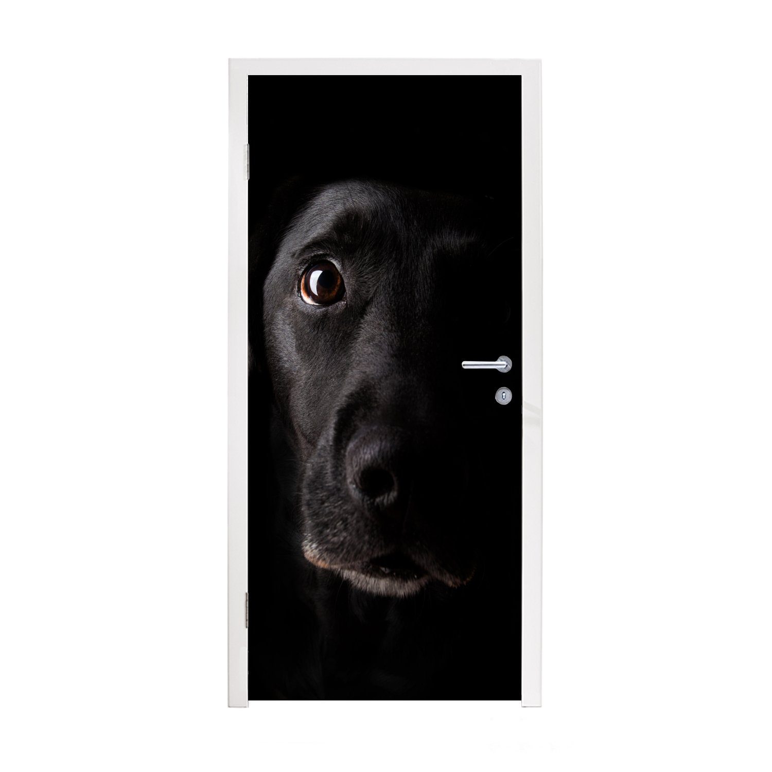 MuchoWow Türtapete Ein schwarzer Labrador Retriever auf schwarzem Hintergrund, Matt, bedruckt, (1 St), Fototapete für Tür, Türaufkleber, 75x205 cm