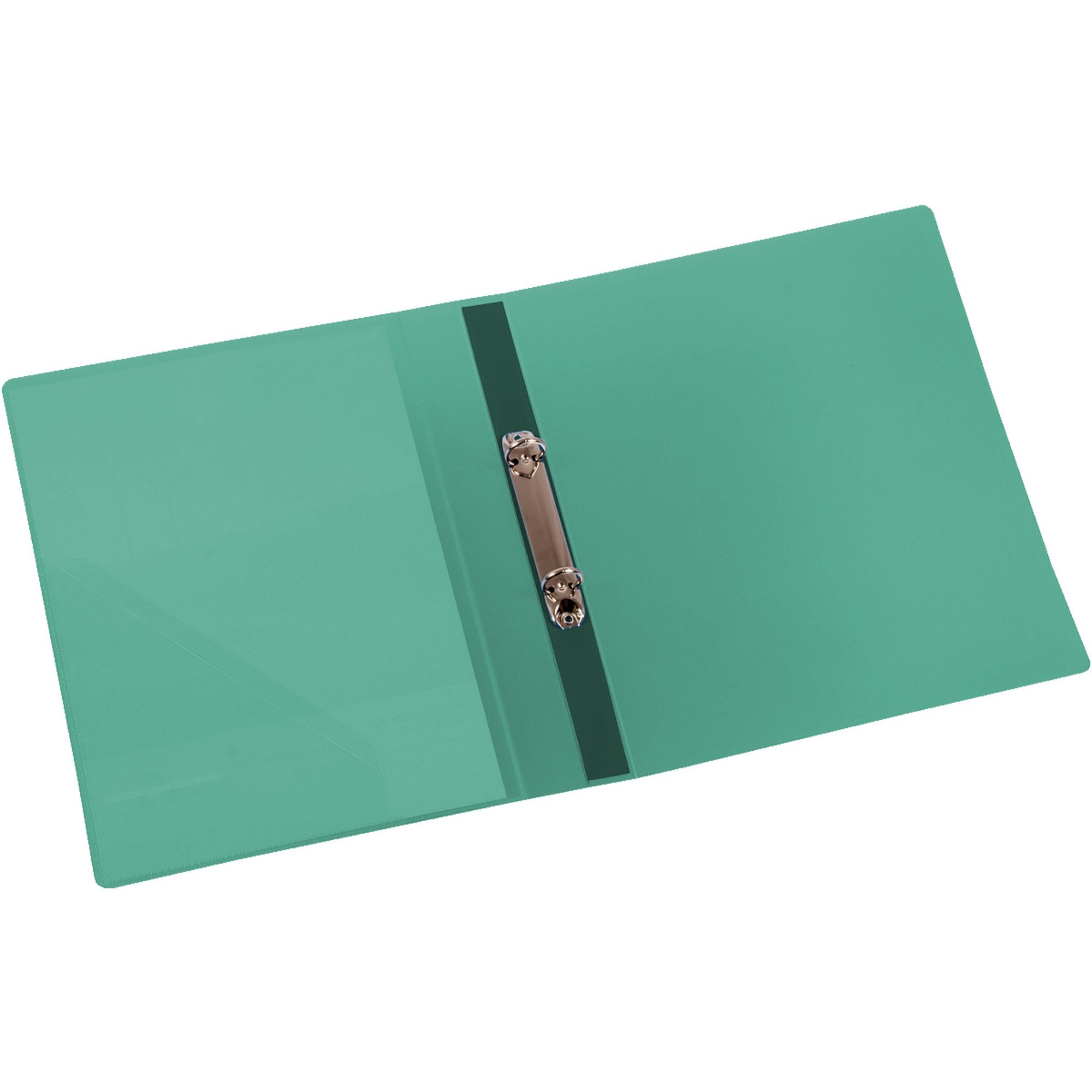 Präsentationsordner Ringbuch 9330-00783 A4 2 Ringe 25mm transparent grün