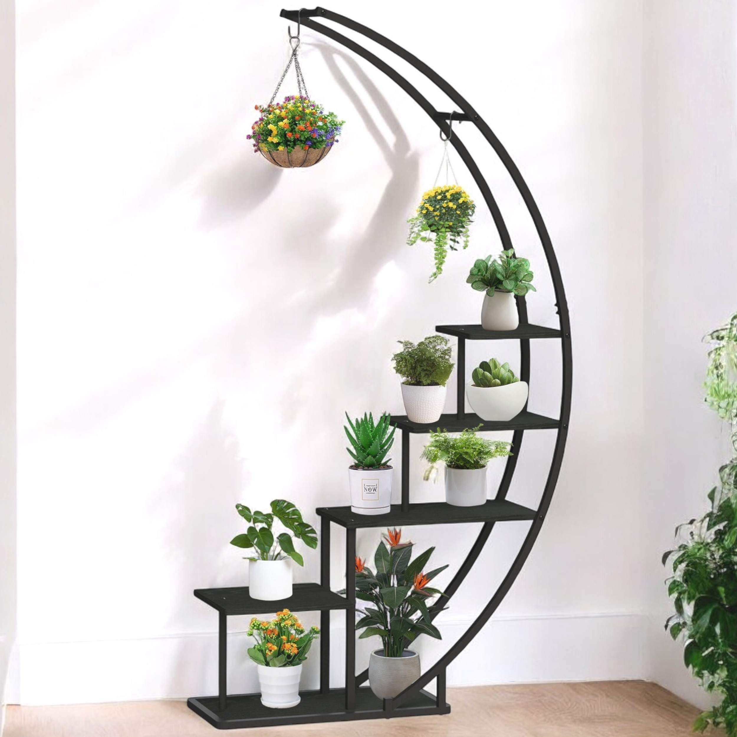DanDiBo Blumenständer Indoor 170 cm Hoch Metall Schwarz Halbrund 96585 Blum günstig online kaufen