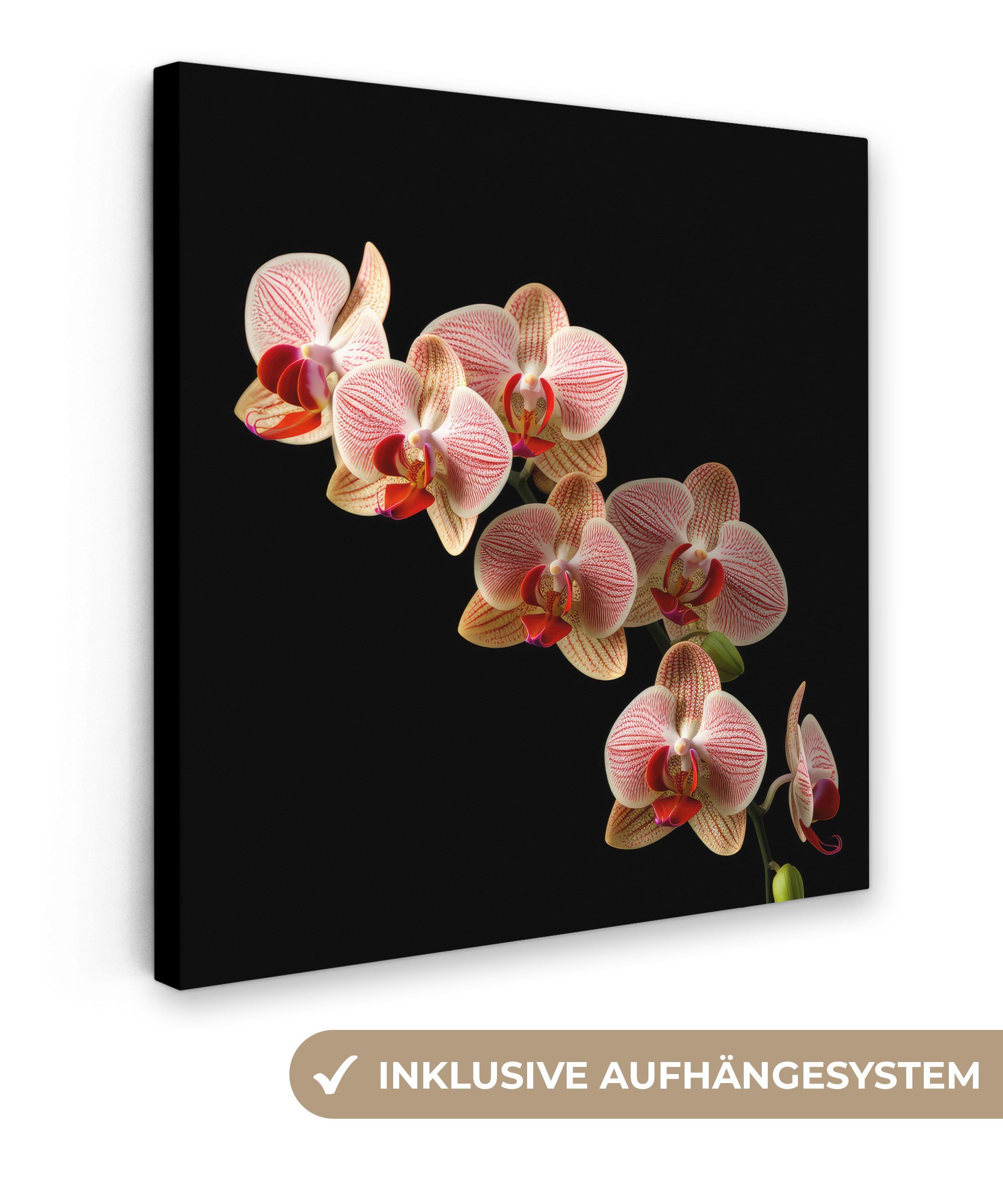 OneMillionCanvasses® Leinwandbild Blumen - Orchidee - Rosa - Botanisch - Natur, (1 St), Leinwand Bilder für Wohnzimmer Schlafzimmer, 20x20 cm