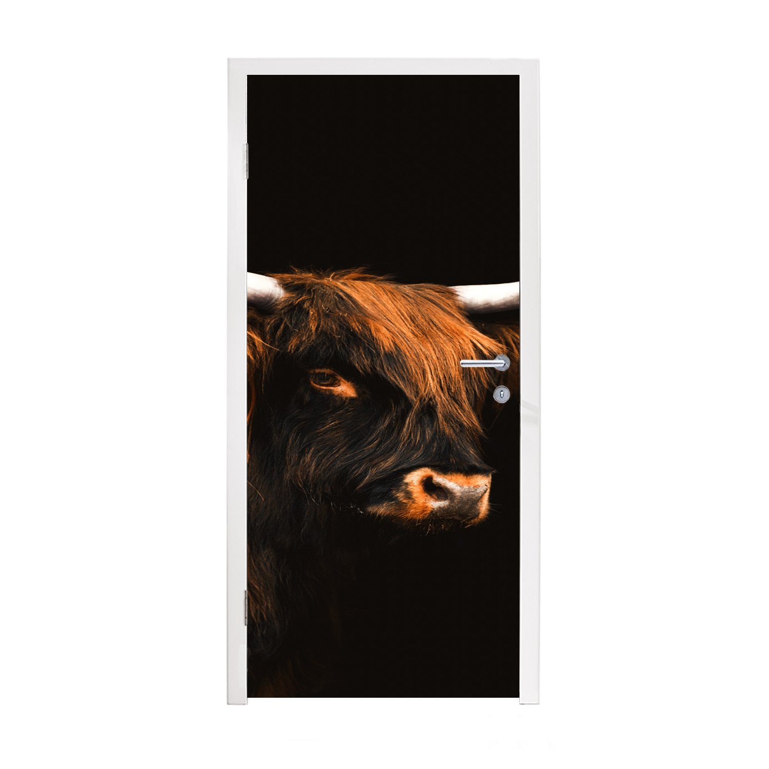 MuchoWow Türtapete Kuh - Schottischer Highlander - Schwarz, Matt, bedruckt, (1 St), Fototapete für Tür, Türaufkleber, 75x205 cm