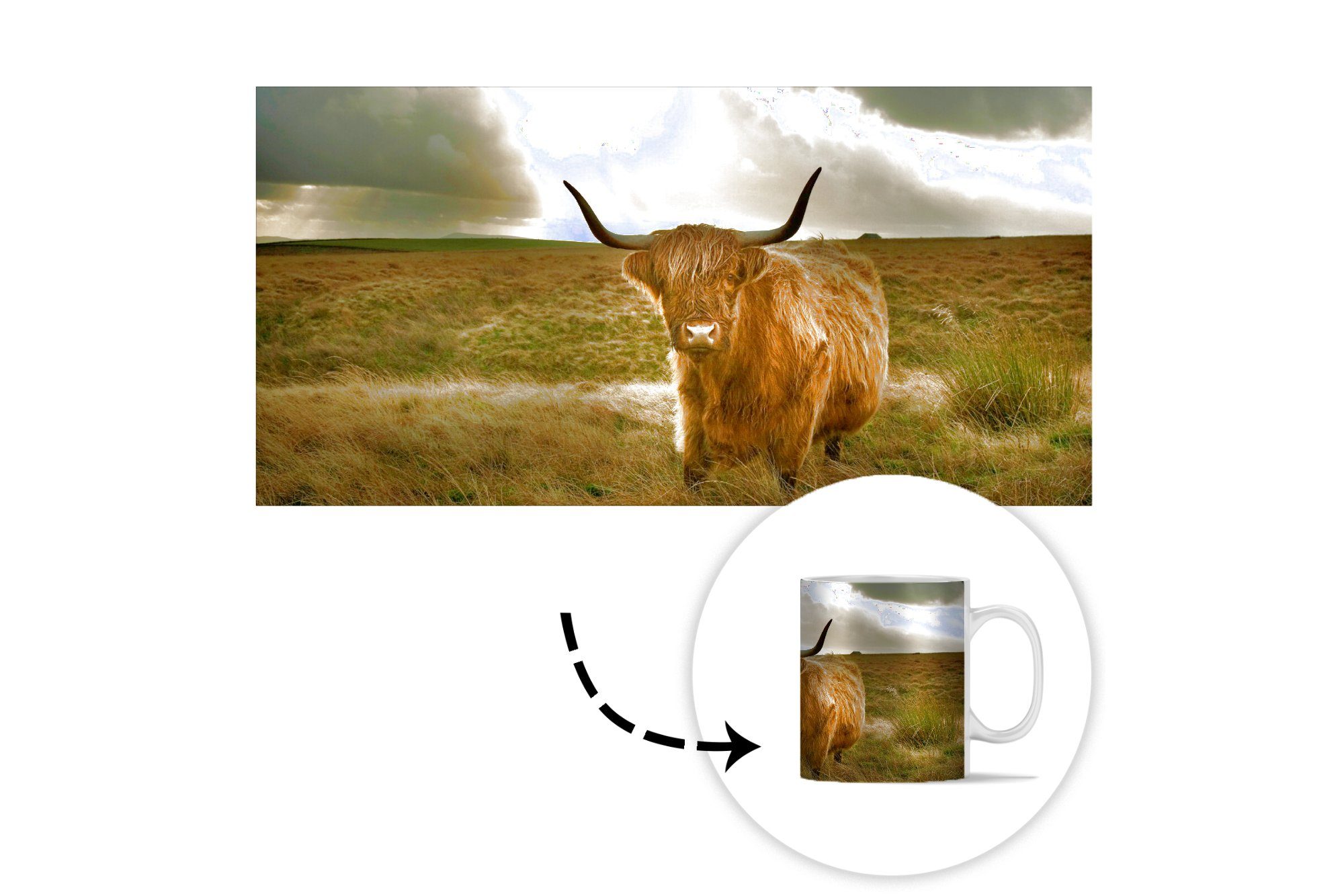 MuchoWow - Becher, Schottischer Geschenk Teetasse, - Kaffeetassen, Tiere, Sonne Keramik, Teetasse, Tasse Hochländer