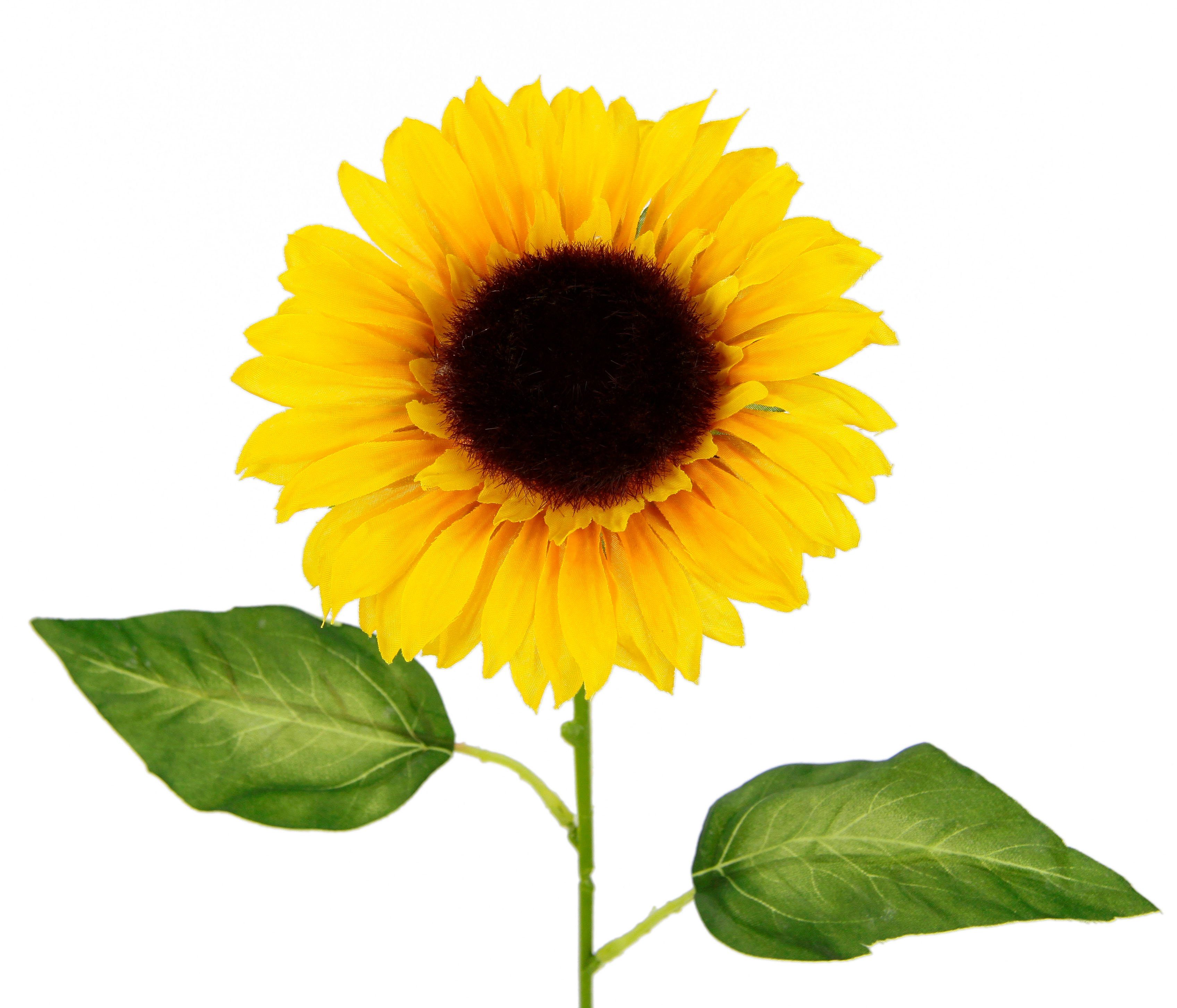 Kunstblume Sonnenblume, I.GE.A., Höhe 77 cm, Einzelblume, Stielblume, 5er Set