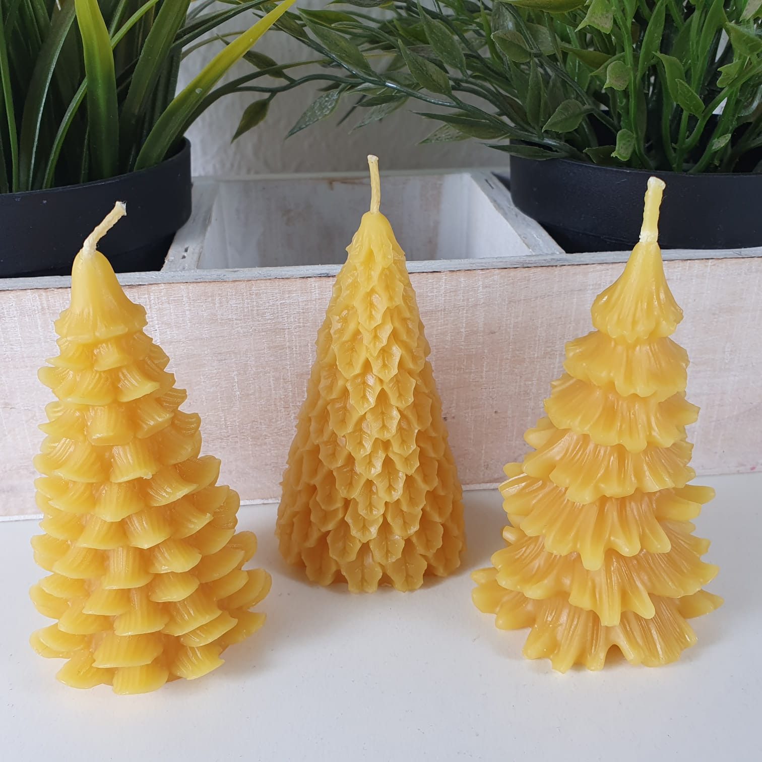 Aspinaworld Formkerze Tannenbaum Kerze 3er Set 9 cm – Kerzen aus Bienenwachs