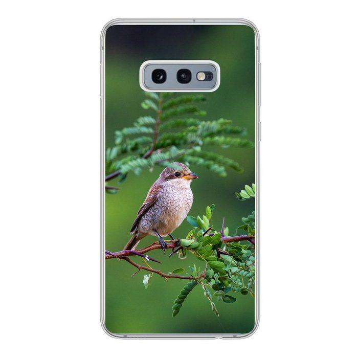 MuchoWow Handyhülle Vogel - Baum - Wald Phone Case Handyhülle Samsung Galaxy S10e Silikon Schutzhülle